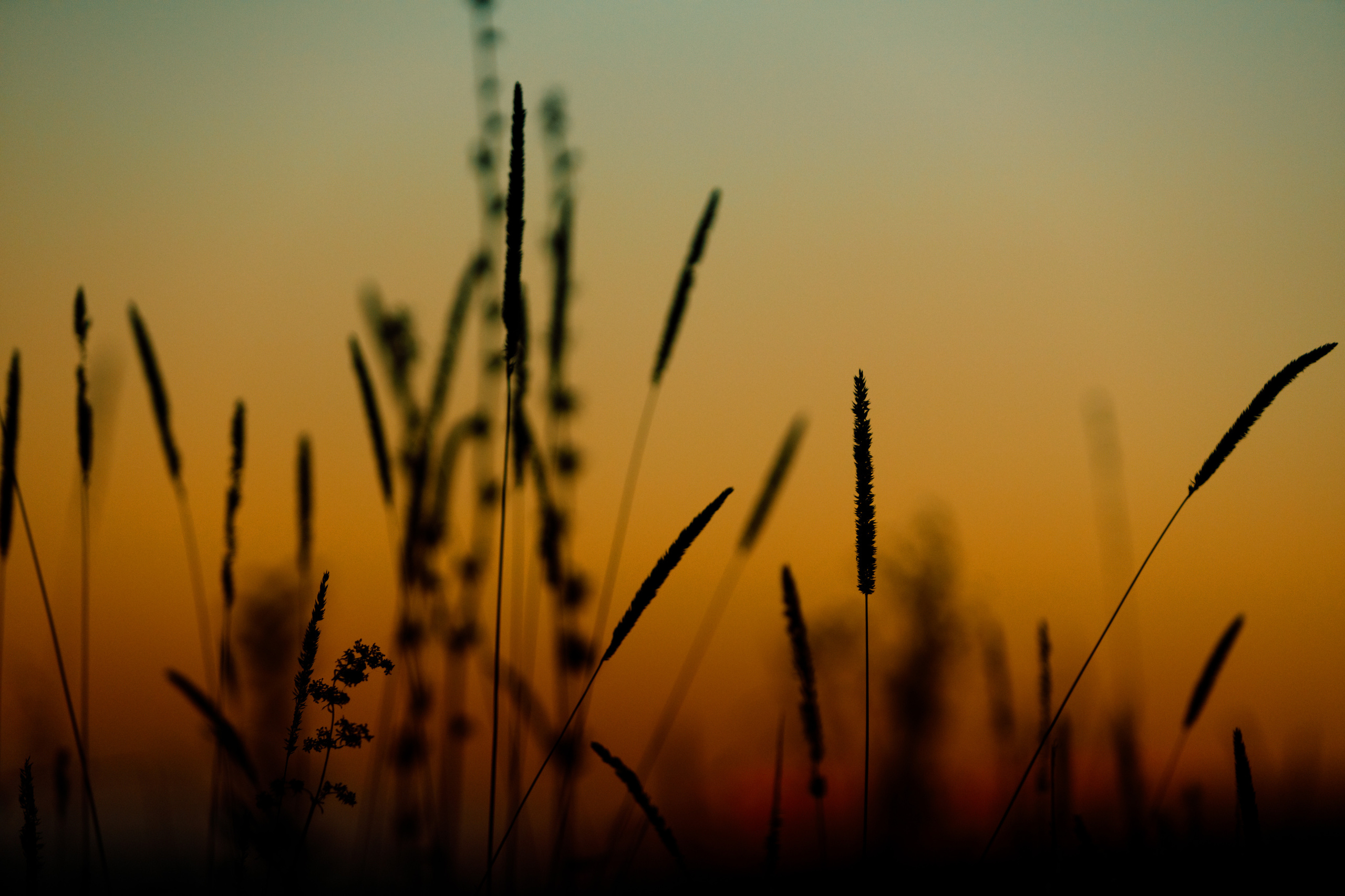 Безусловная свобода. 26.08.22, Калуга, ТИЦ. Фотограф Виталий Верескун. Козельск-Калуга