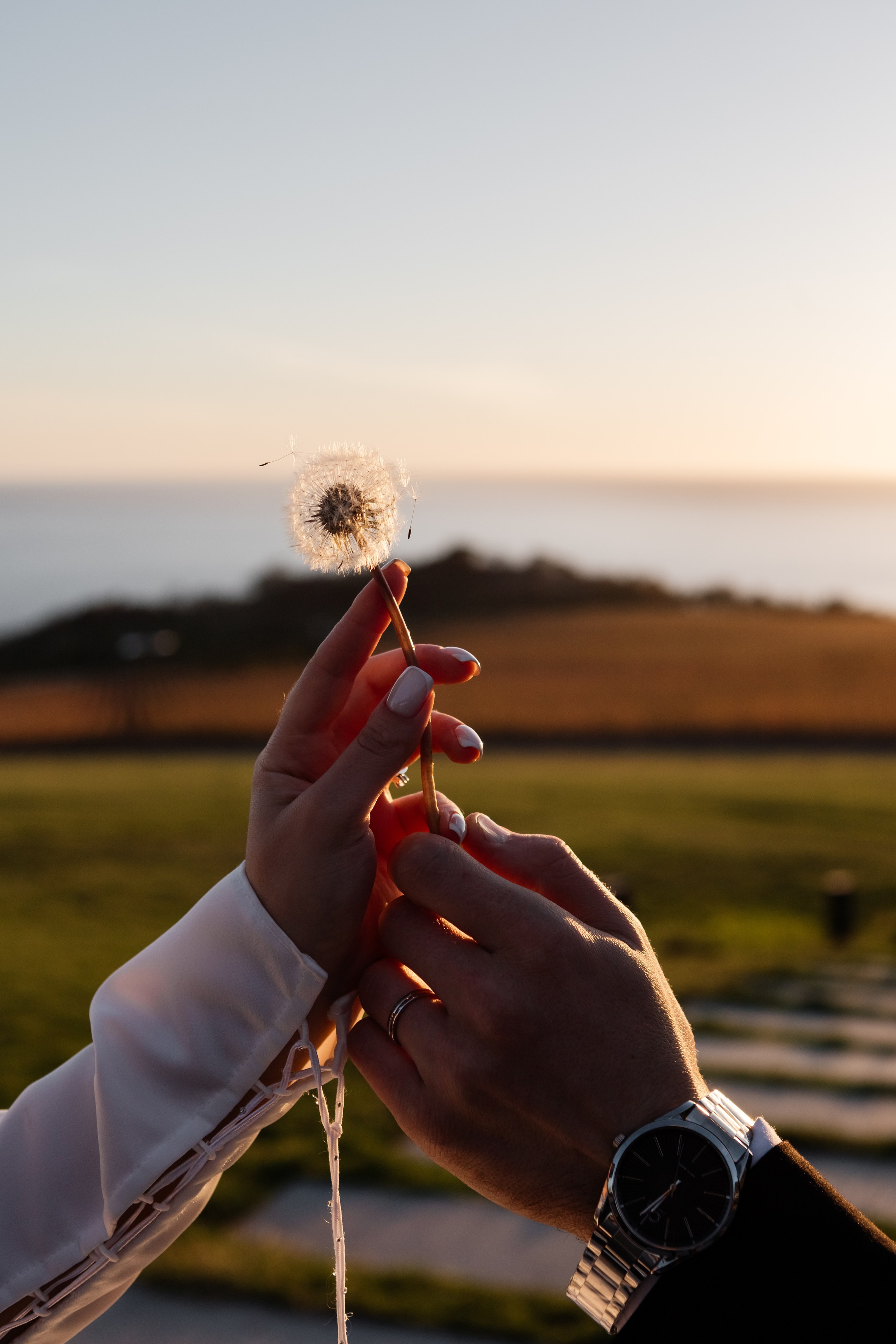 Микаэл и Шушана — Анонс свадьбы. Свадебный фотограф, фотосъемка в Крыму, Севастополе, Симферополе, Ялте