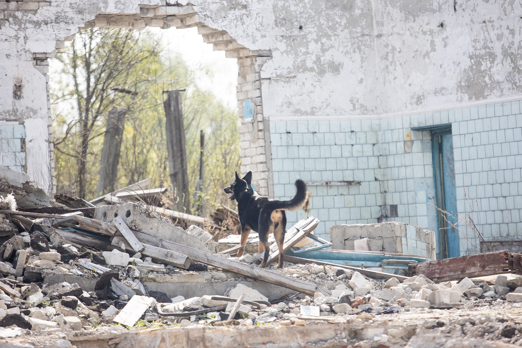 ПСС Соревнования в Нижегородской области г. Чкаловск 2023-04-28. Фотограф Ирина Астор