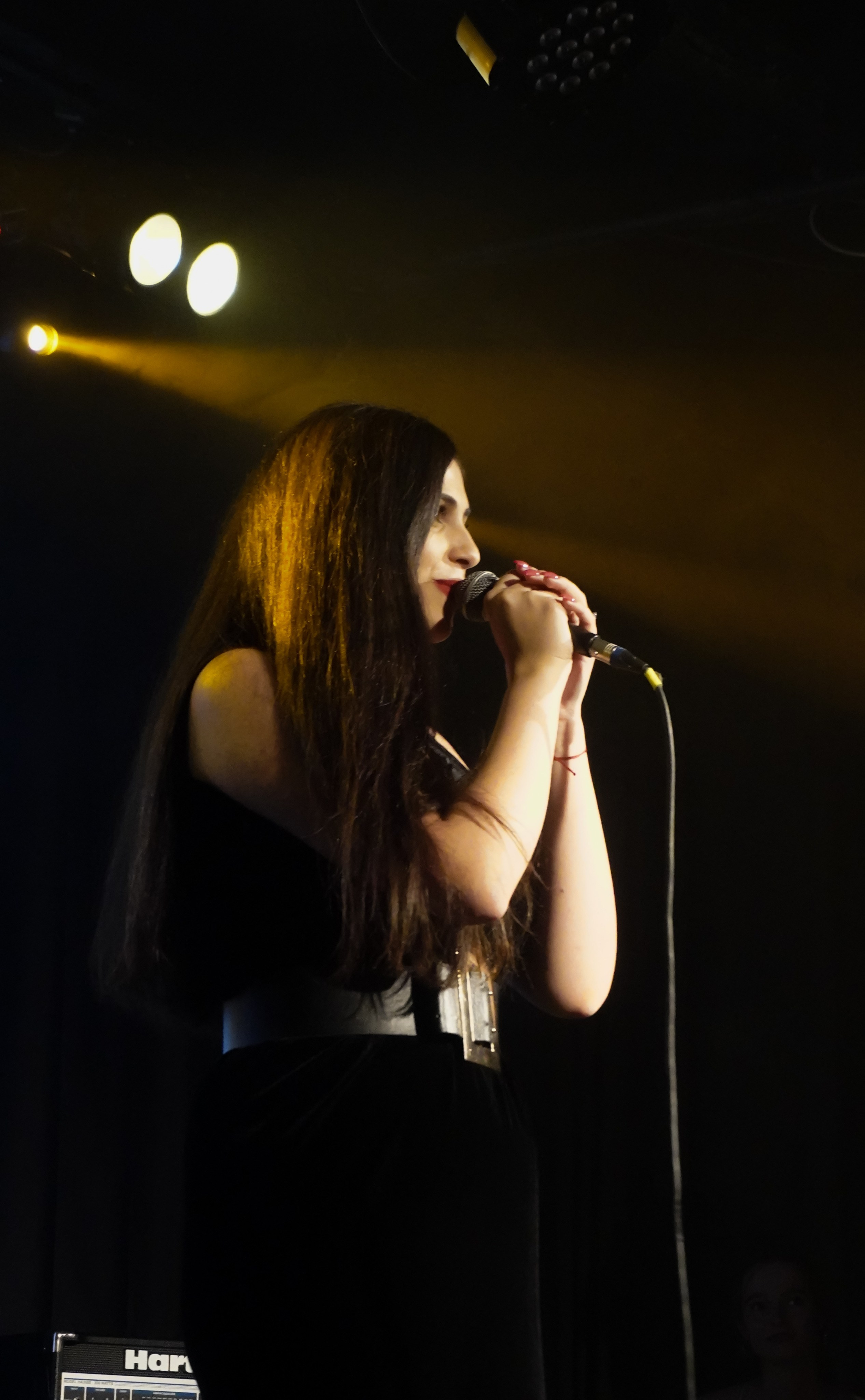 Примеры концертной съёмки | Фотограф на концерт в СПб. Кузнецова Мария — профессиональный фотограф в Санкт-Петербурге | Предметная фотосъёмка, модельные тесты, актёрское портфолио, концерты