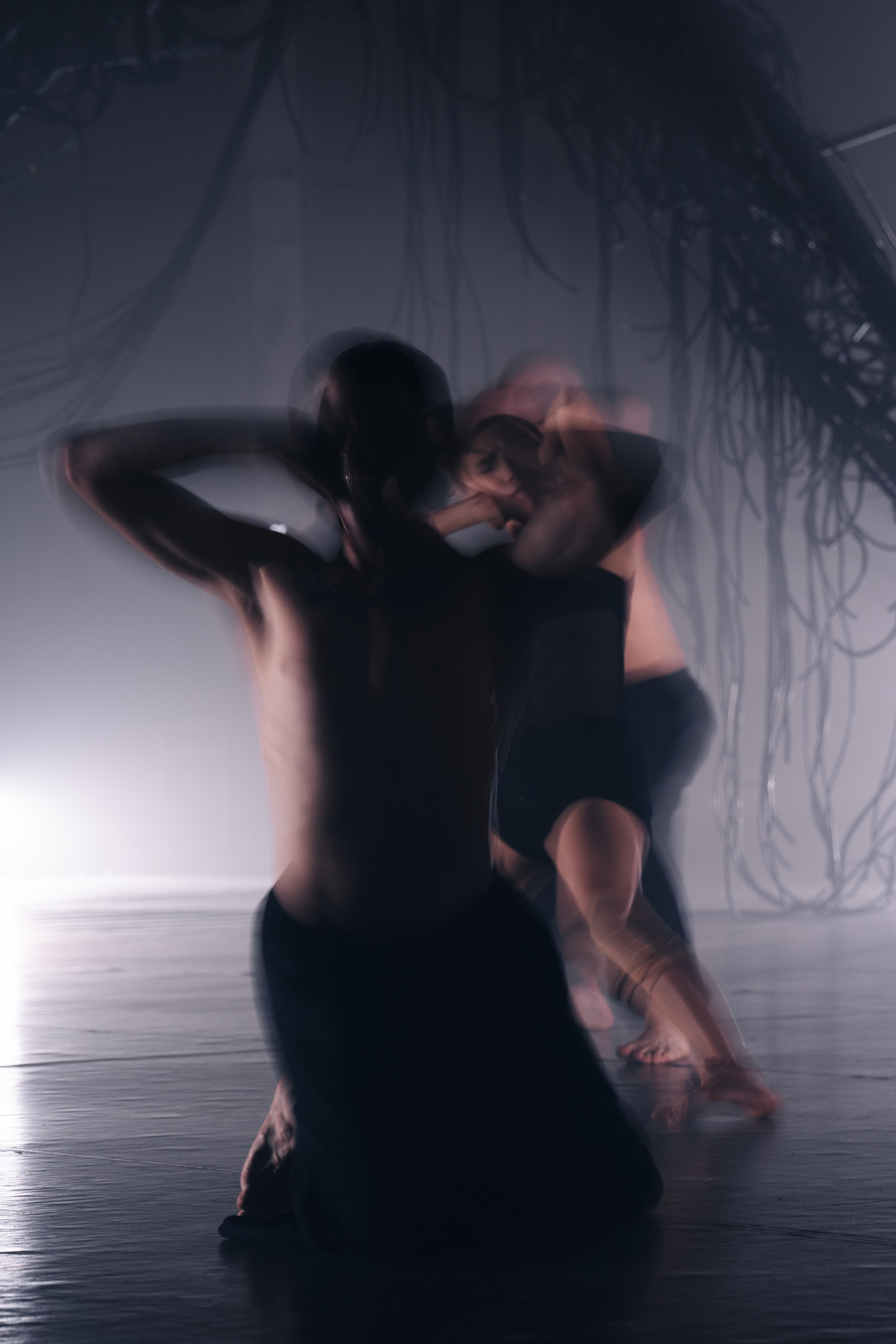 PERFORMA, The Hour of the Horse. @tomrus: Рустам Шагиморданов — фотограф