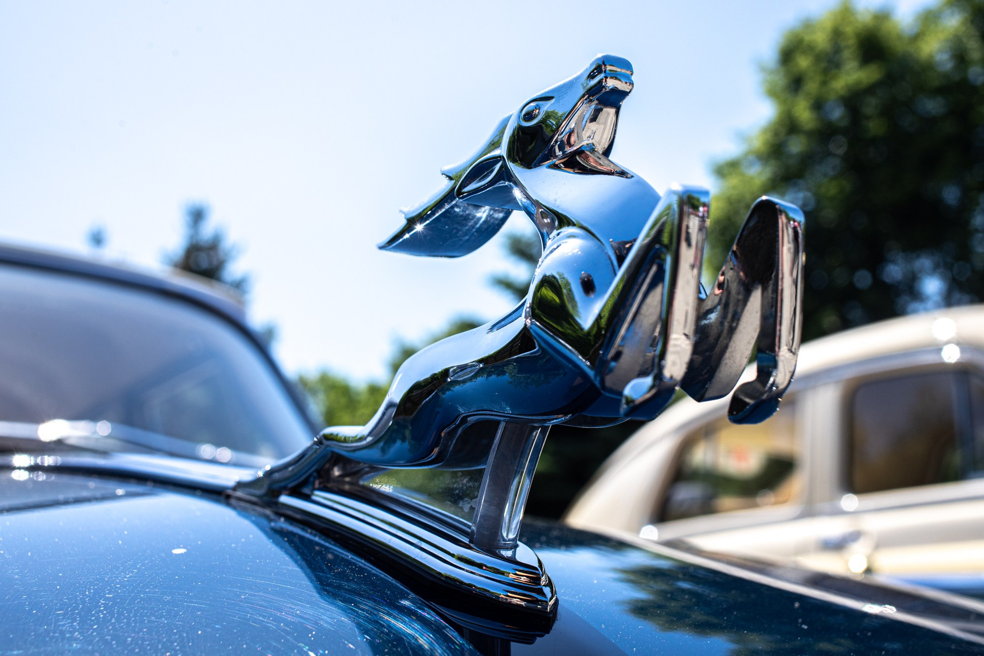 Патриотический фестиваль «Наследие». Репортажный, промышленный и маркетплейс-фотограф Дмитрий Чернат