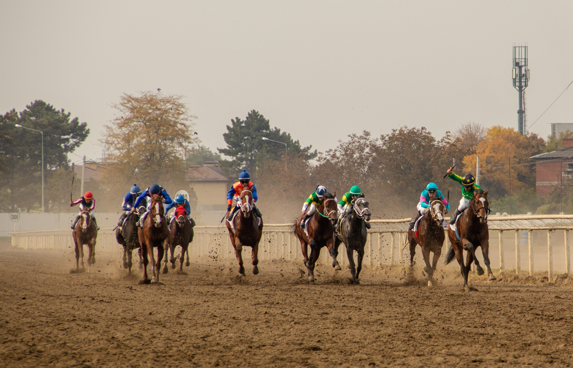 Закрытие скакового сезона на Краснодарском ипподроме. Репортажный, промышленный и маркетплейс-фотограф Дмитрий Чернат