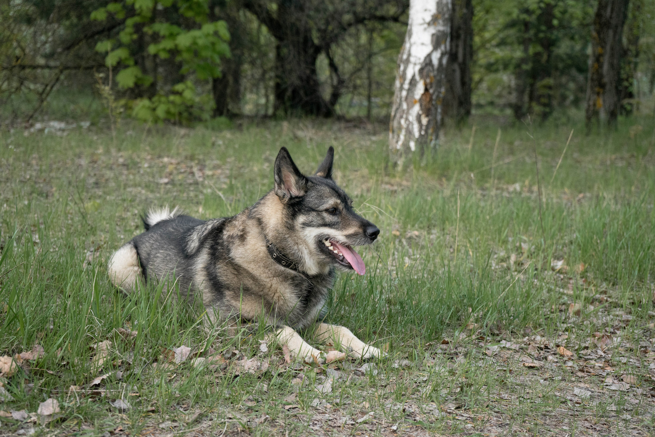 Jack. Lifestyle photographer Turku. I catch emotions in the frame