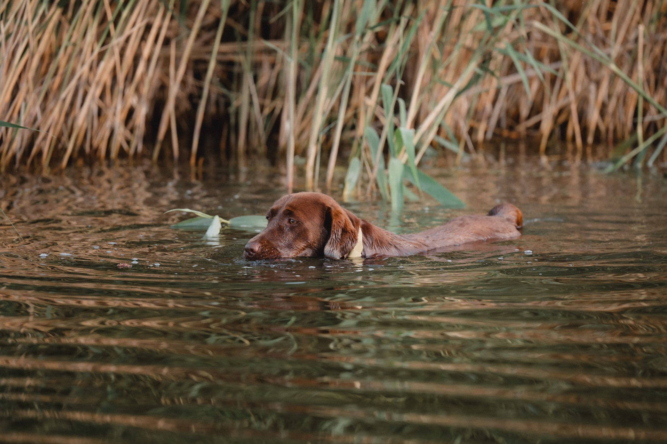 Анечка и Дэя. Фотограф в Ростове —на — Дону