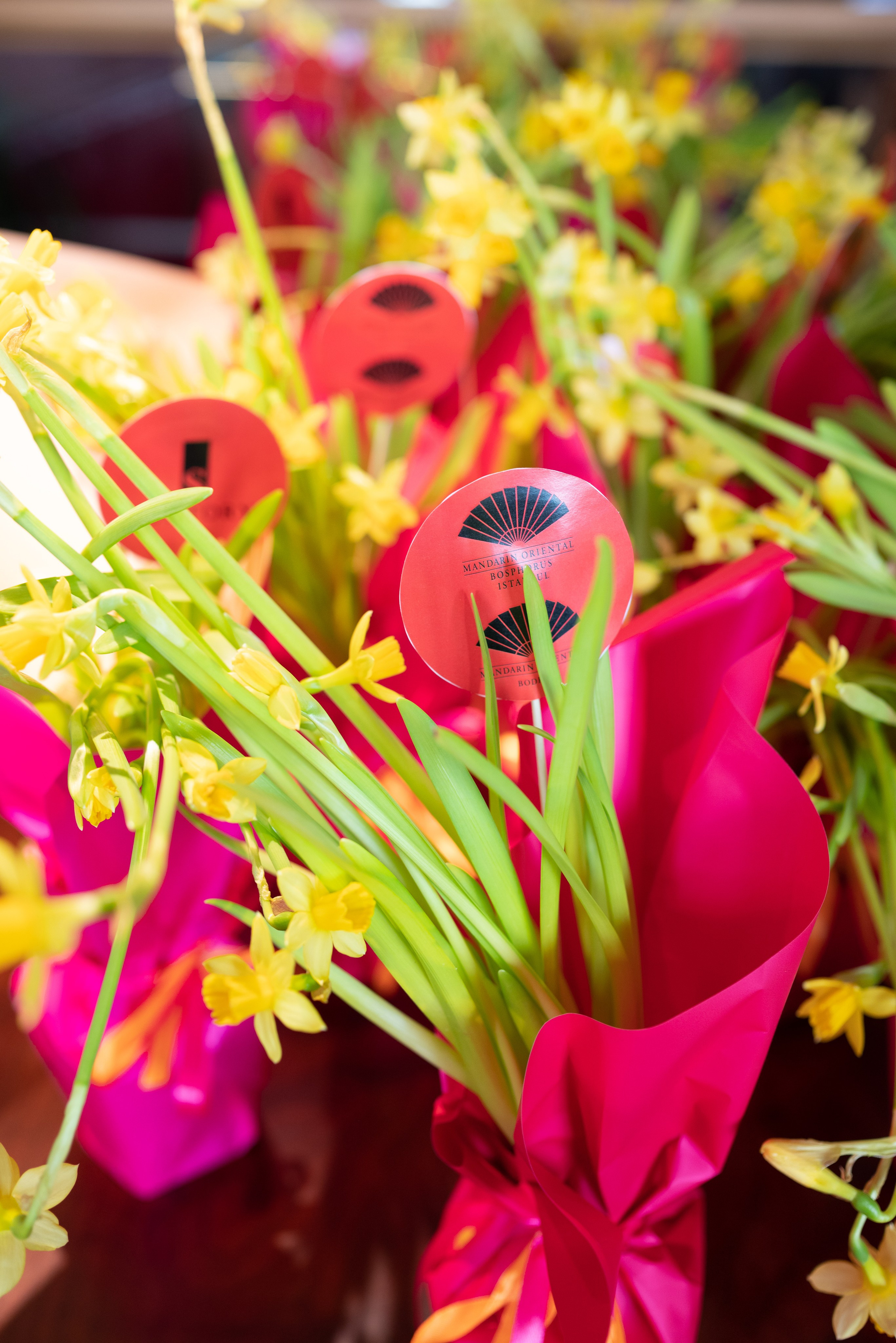 Suntory Travel & Mandarin Oriental Business Breakfast. Женский и семейный фотограф в Москве и Красногорске Светлана Левченко
