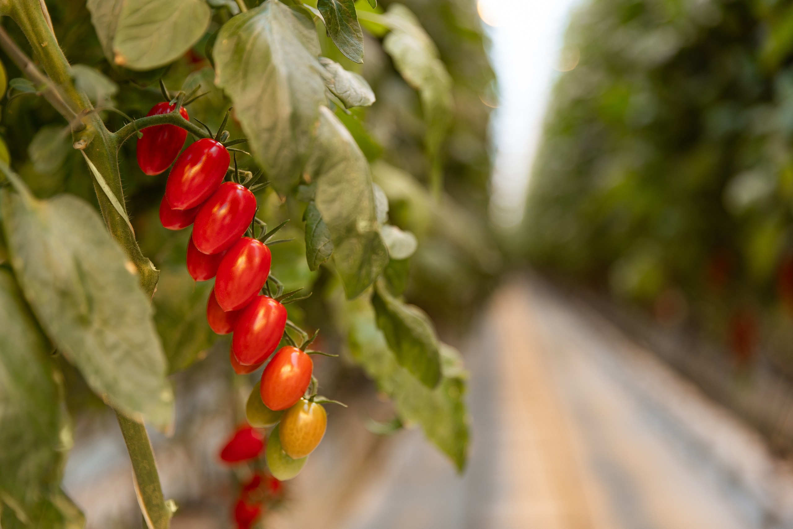 Производство. Фотограф Николай Петрушкин | Ставрополь, Москва