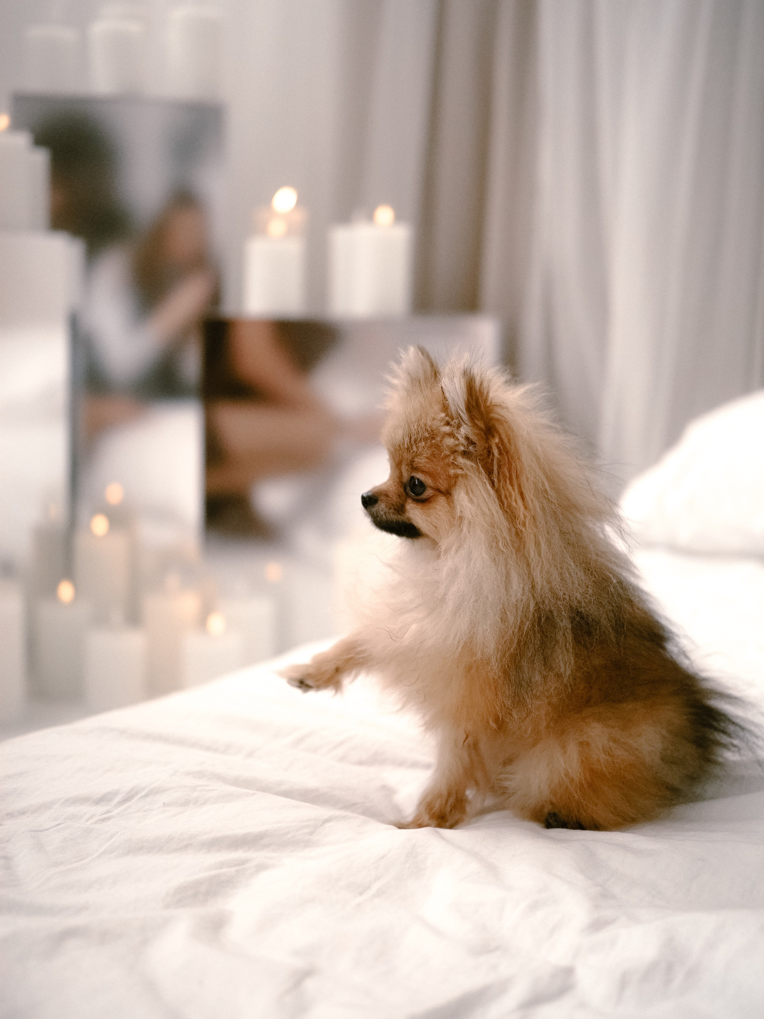 Нежные новогодние. Фотограф Рязань. Семейный Свадебный фотограф