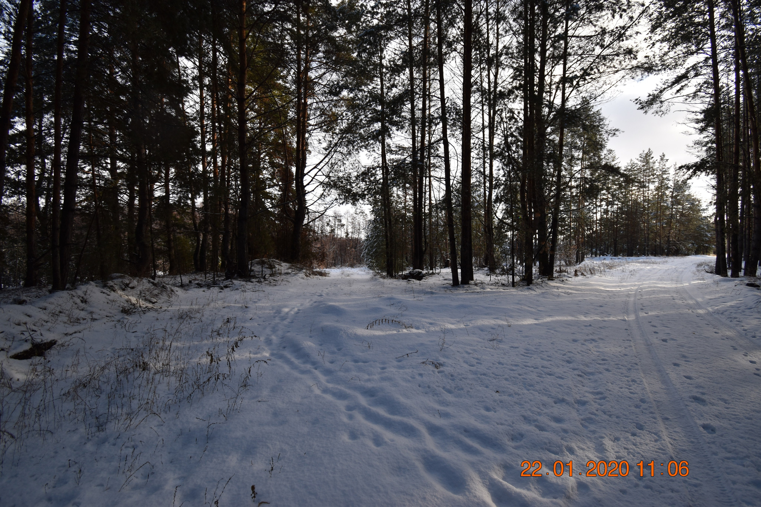 Все что тронуло, миниатюры. Созерцатель. фотографирую что тронуло и впечатлило. самарская область