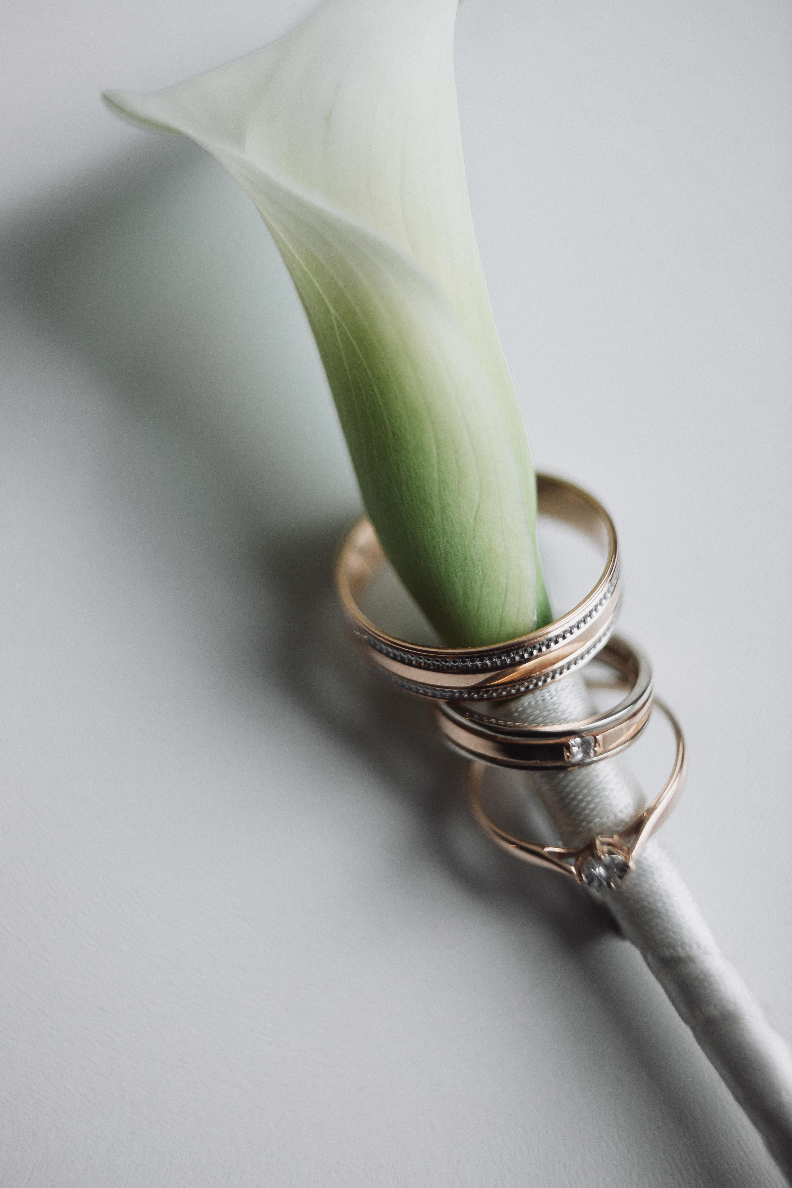 Свадьба Александра и Евгении. Фотограф Кольчугино/Владимир/Москва Елизавета Иода