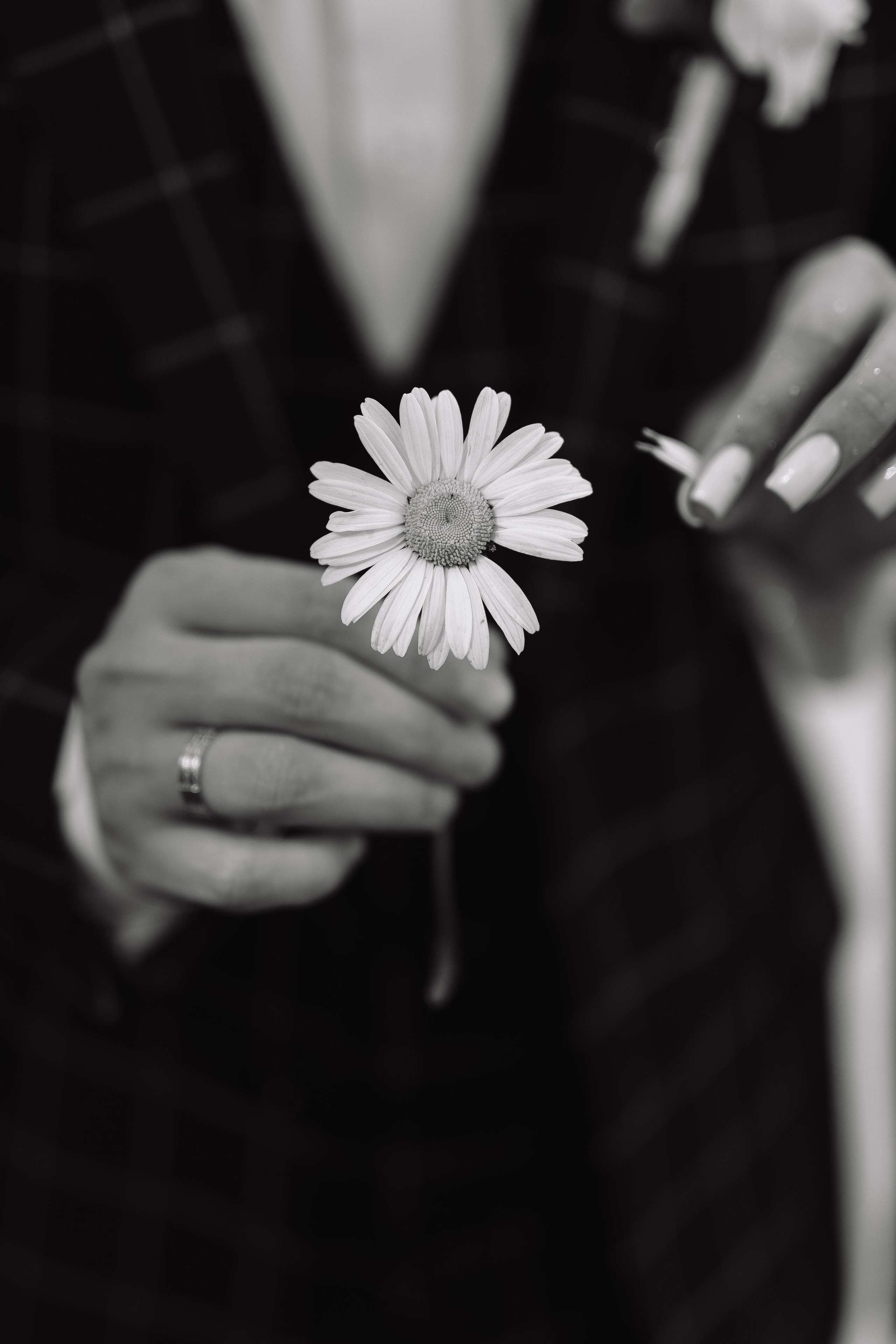 Свадьба Анатолия и Арины. Фотограф Кольчугино/Владимир/Москва Елизавета Иода