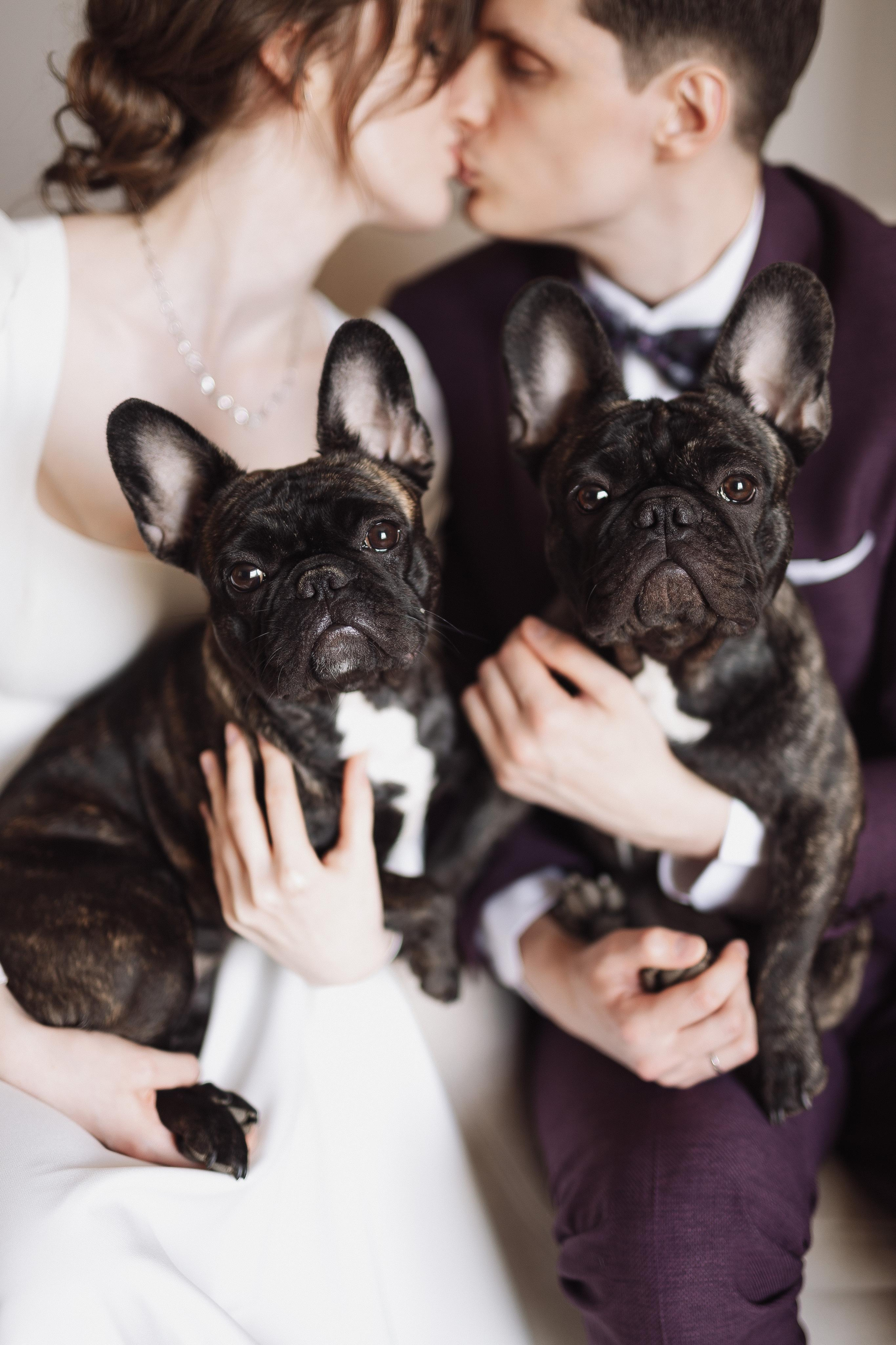 Свадьба Романа и Татьяны. Фотограф Кольчугино/Владимир/Москва Елизавета Иода