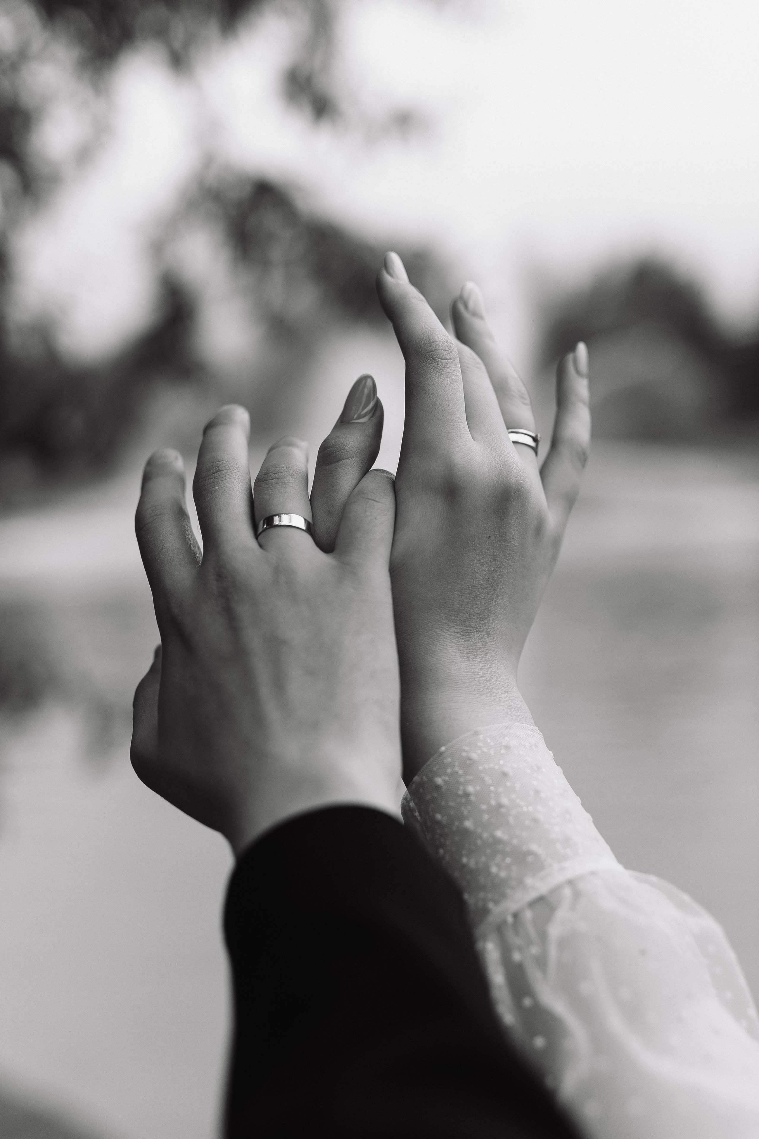 Свадьба Дениса и Марии. Фотограф Кольчугино/Владимир/Москва Елизавета Иода