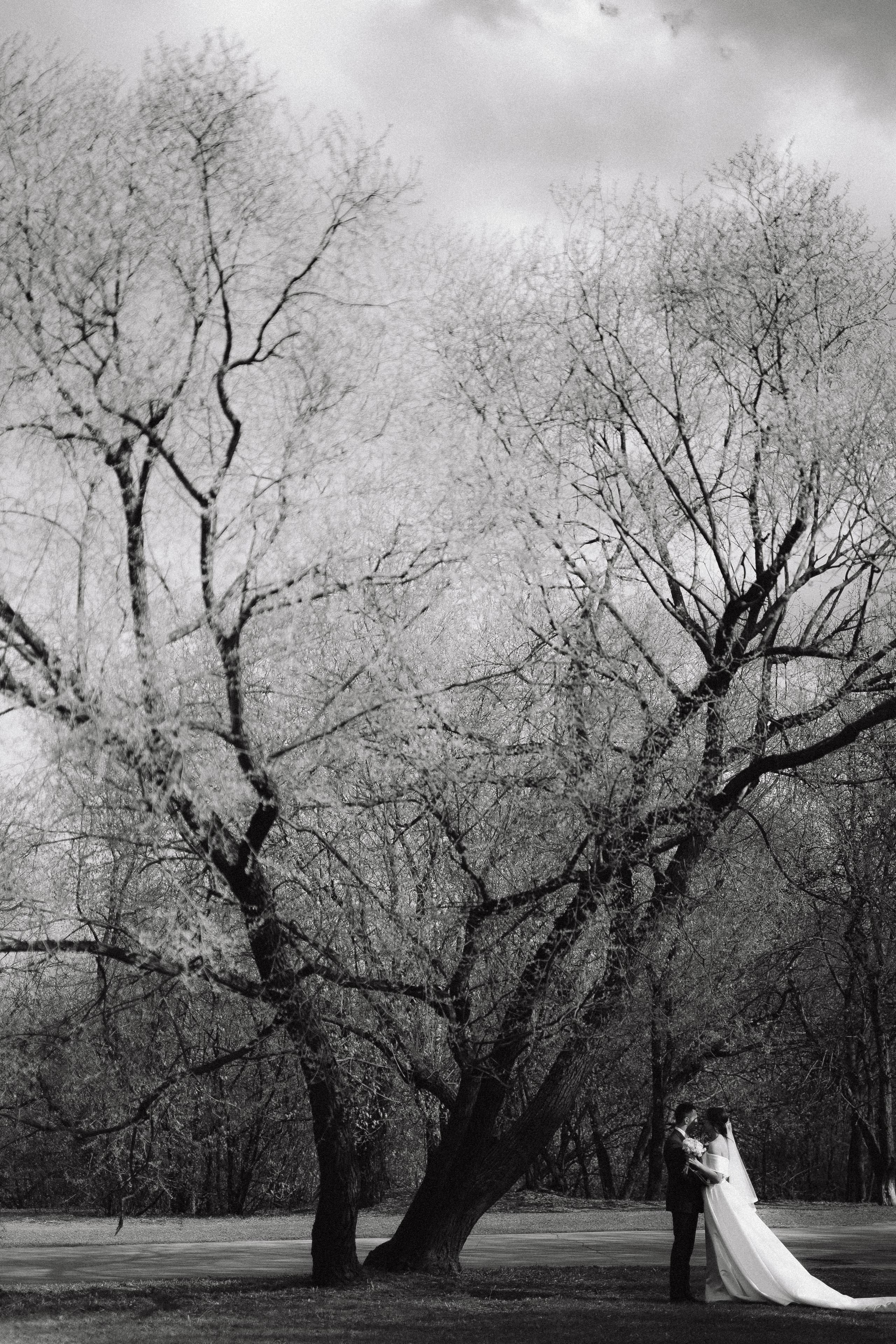 Свадьба Дмитрия и Ксении. Фотограф Кольчугино/Владимир/Москва Елизавета Иода