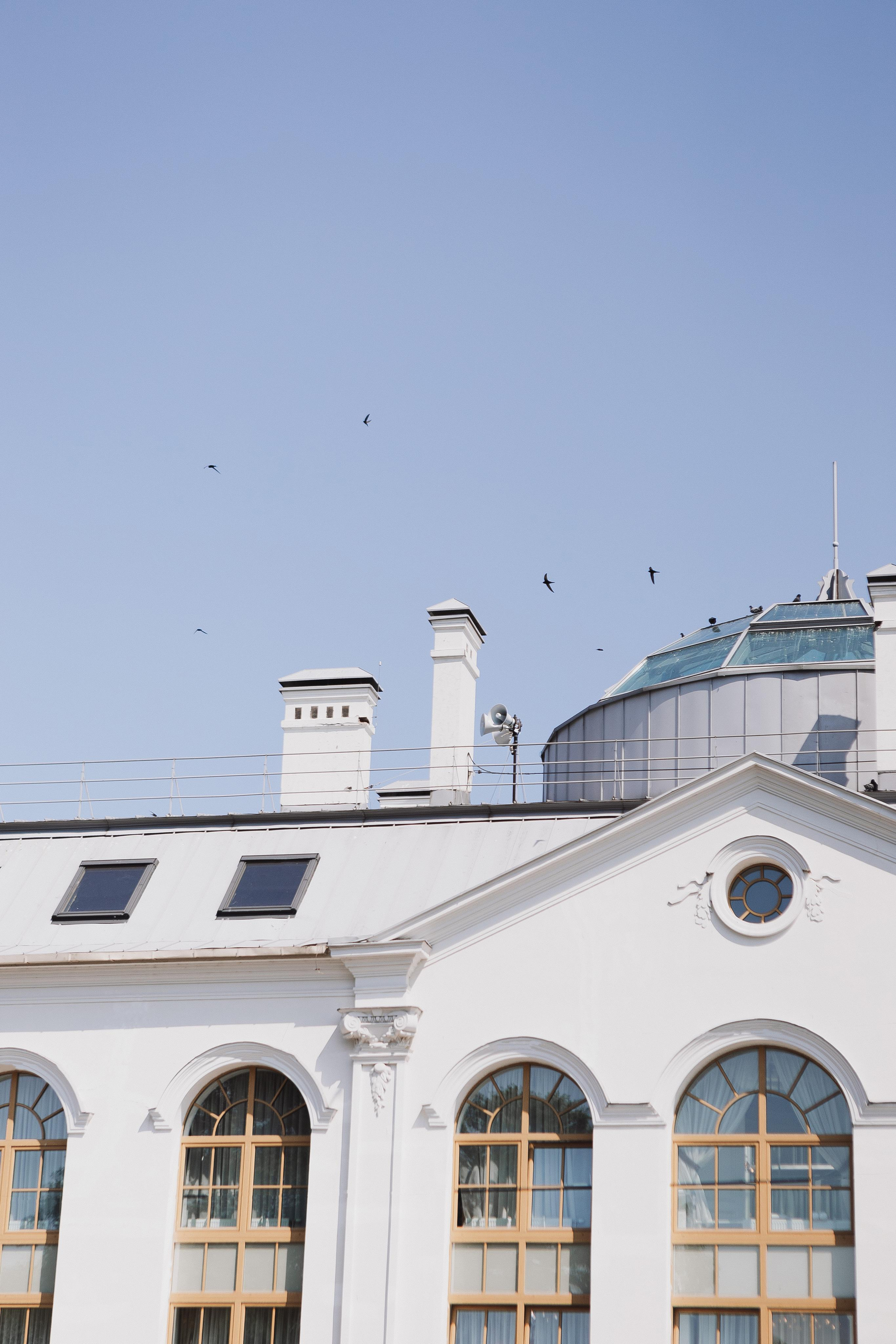 Свадьба Алексея и Аннеты. Фотограф Кольчугино/Владимир/Москва Елизавета Иода