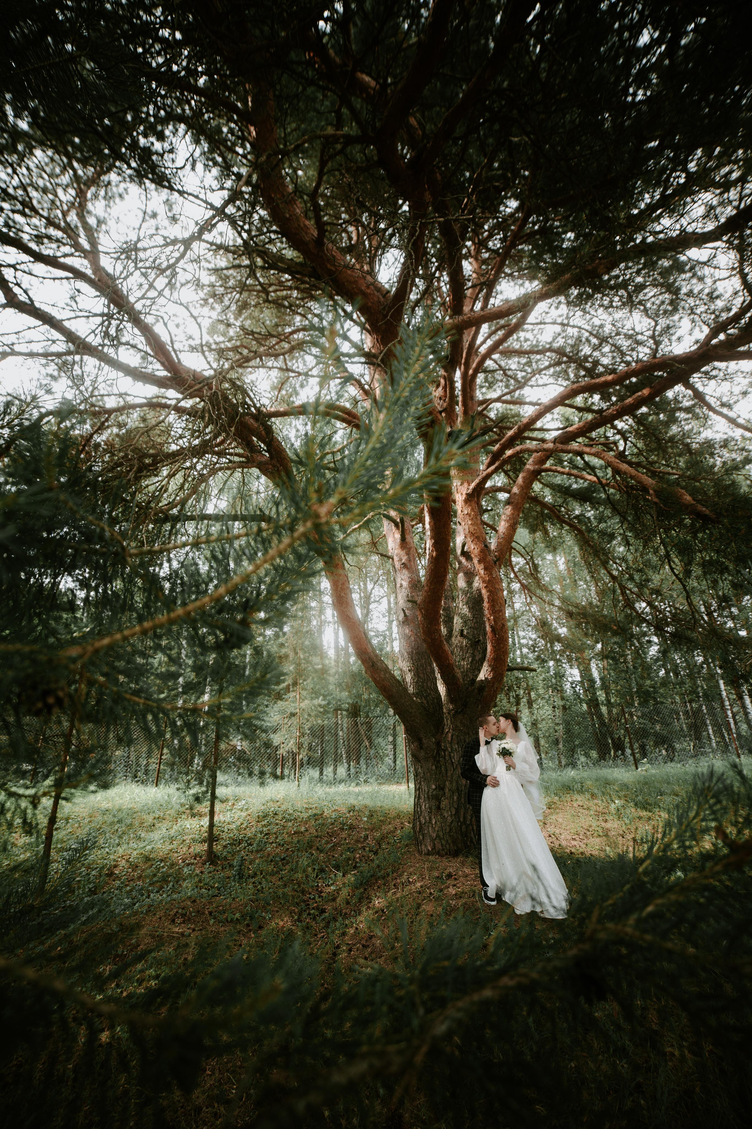 Свадьба Анатолия и Арины. Фотограф Кольчугино/Владимир/Москва Елизавета Иода