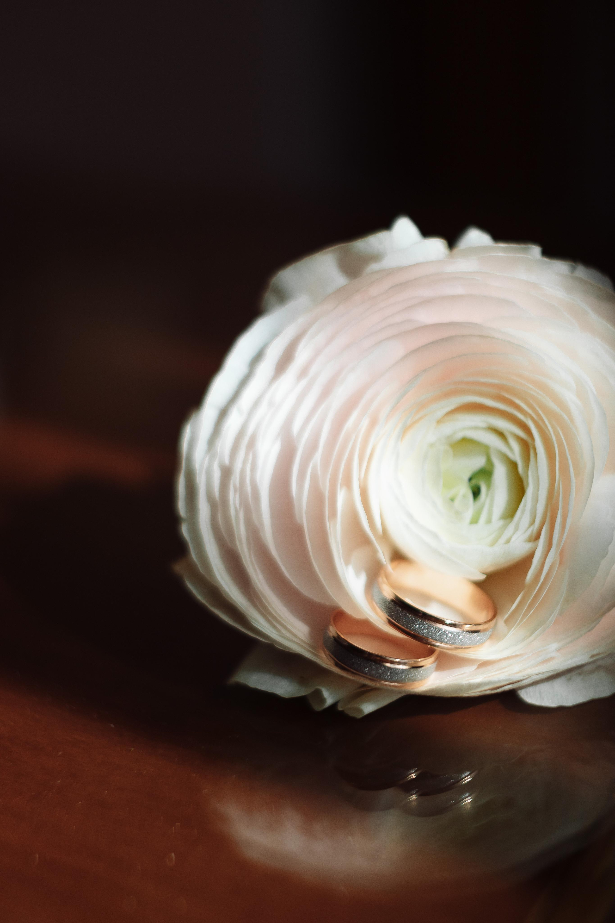 Свадьба Дмитрия и Ксении. Фотограф Кольчугино/Владимир/Москва Елизавета Иода