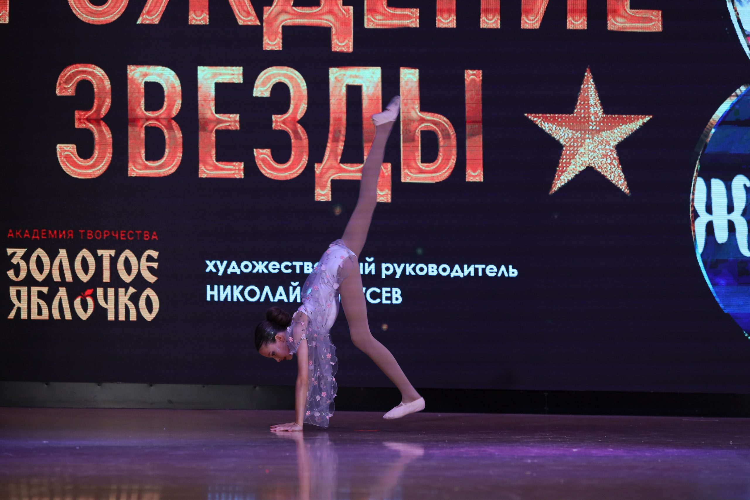 4 ноября, блок 1, видео, номера 59-, г. Краснодар. Золотое яблочко