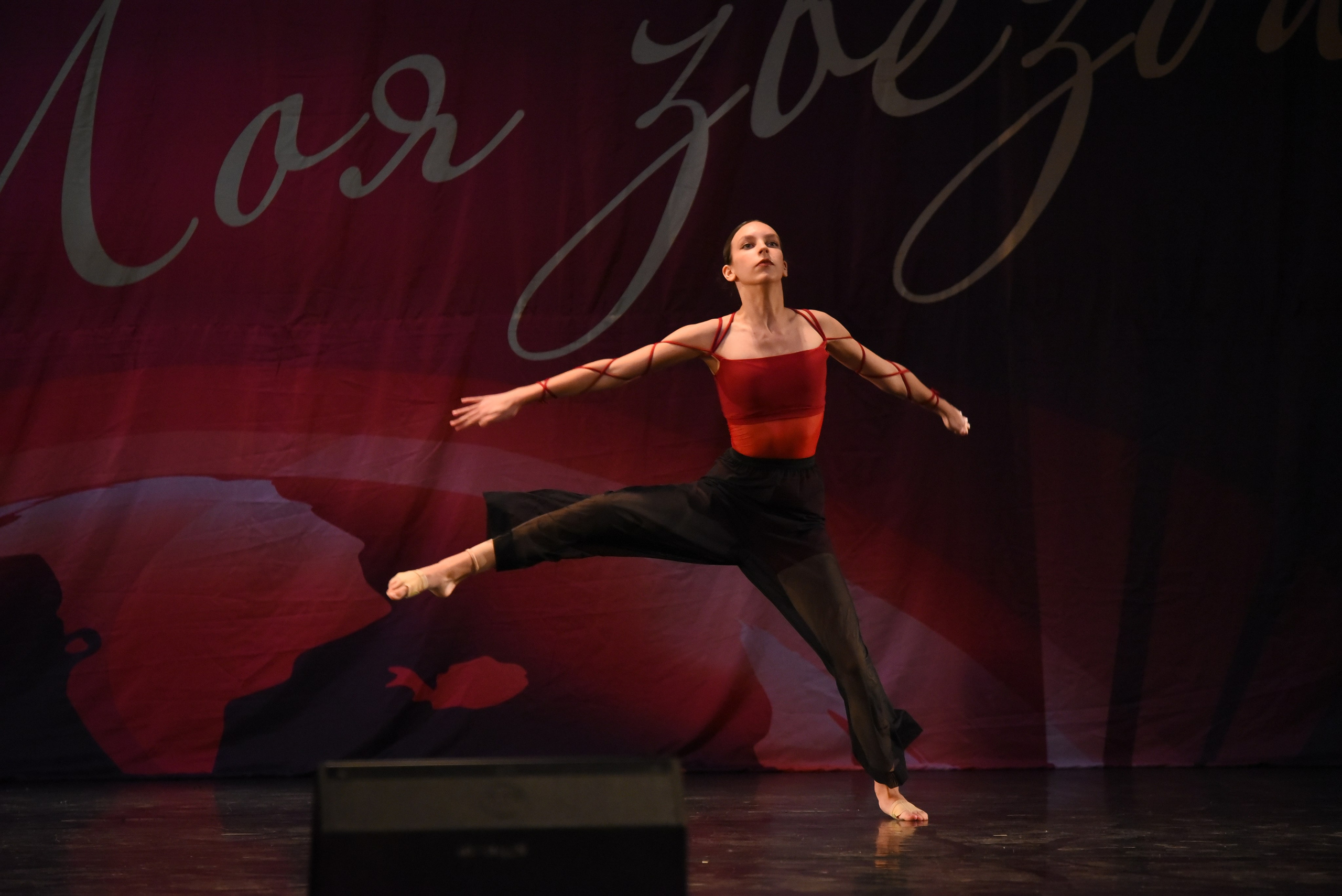 13 декабря, г. Калининград. Золотое яблочко