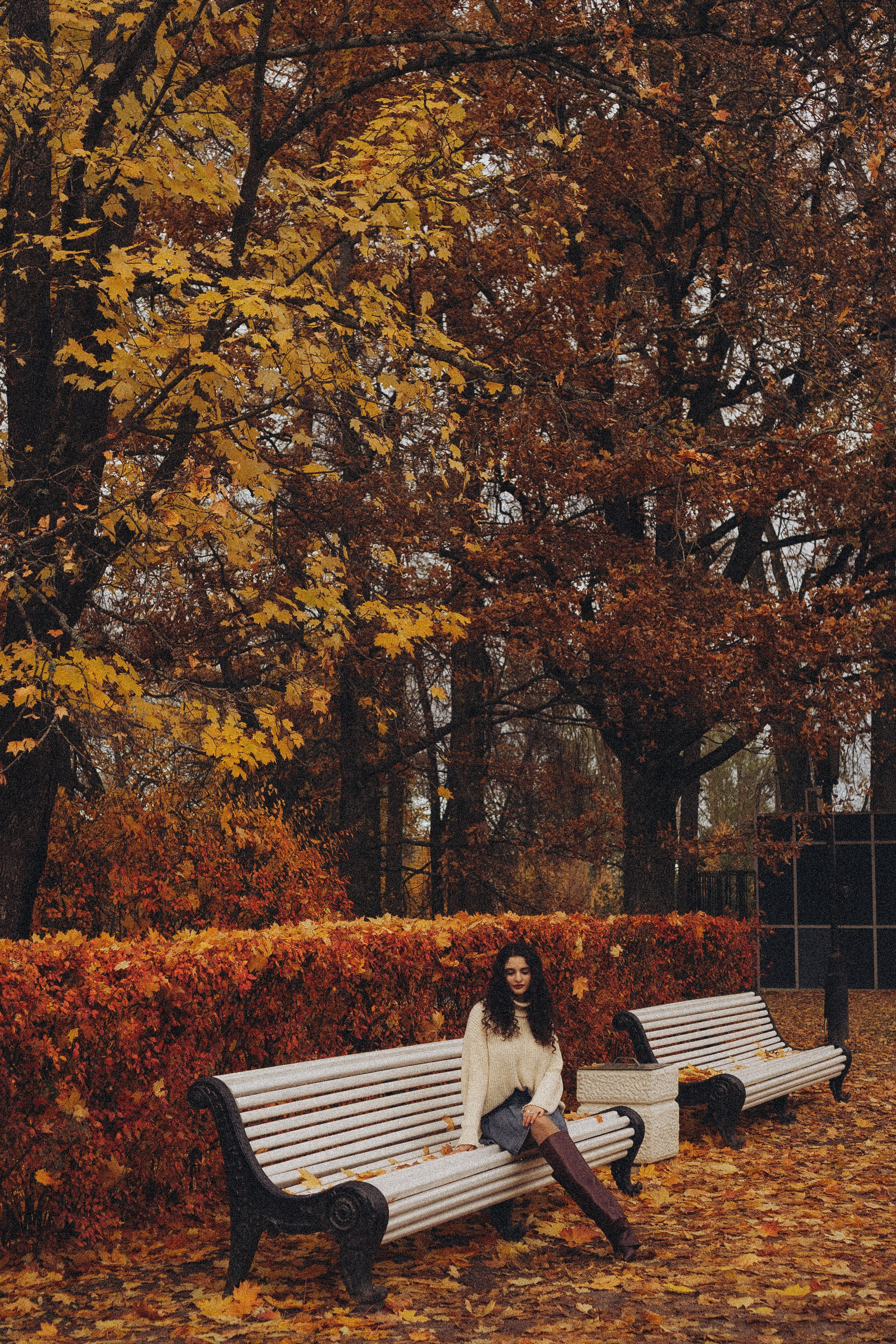 Осеняя прогулка. Профессиональный фотограф, Санкт-Петербург — Виктория Богомолова