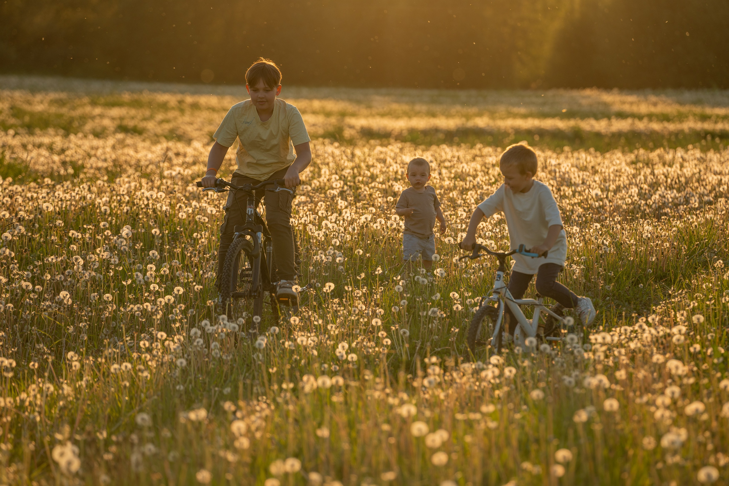 Семейная фотосессия на природе. Портретный фотограф Олеся Владимирова в Москве