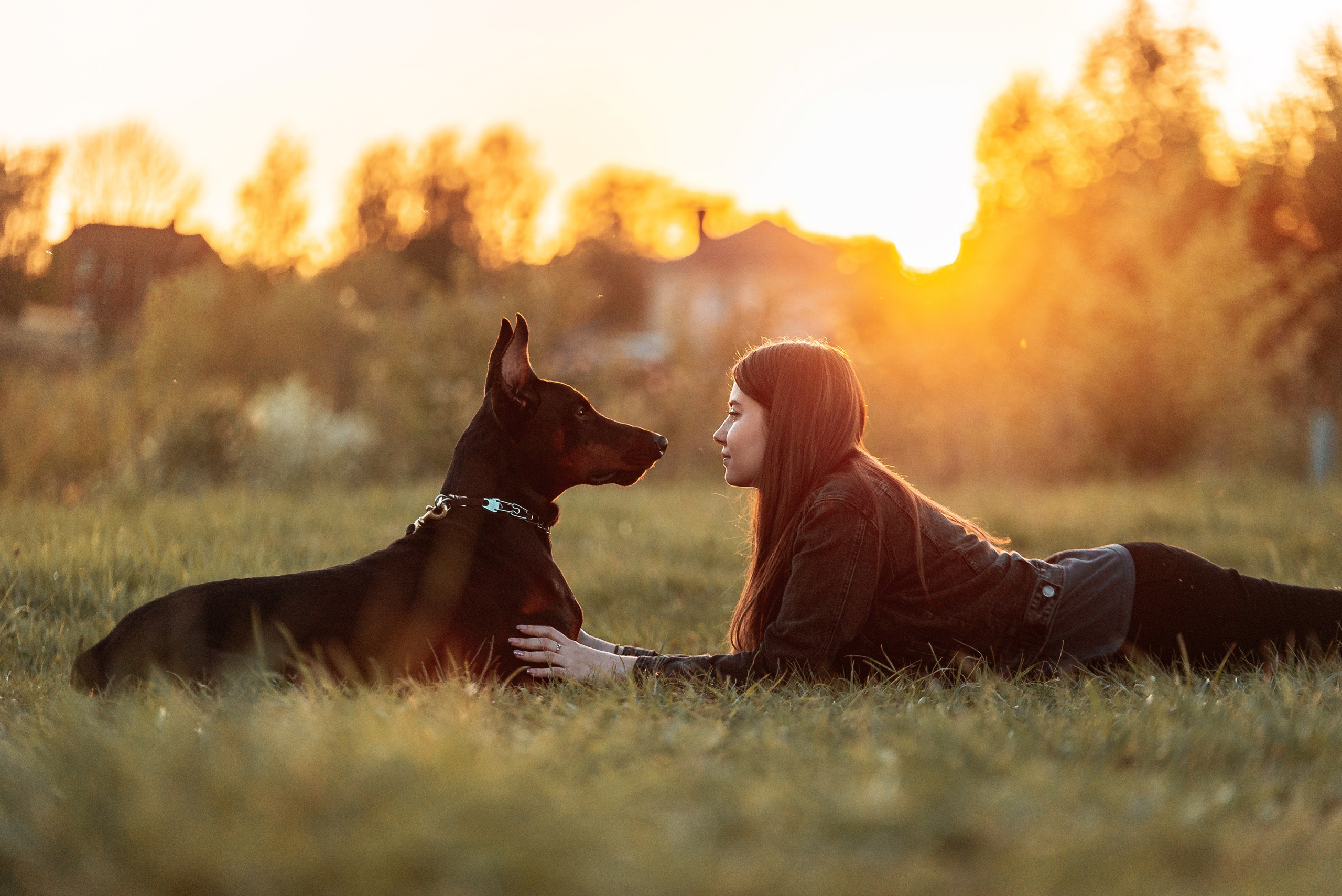 Юля, Андрей и Арес. Фотограф-анималист Анастасия Парфенова|Екатеринбург