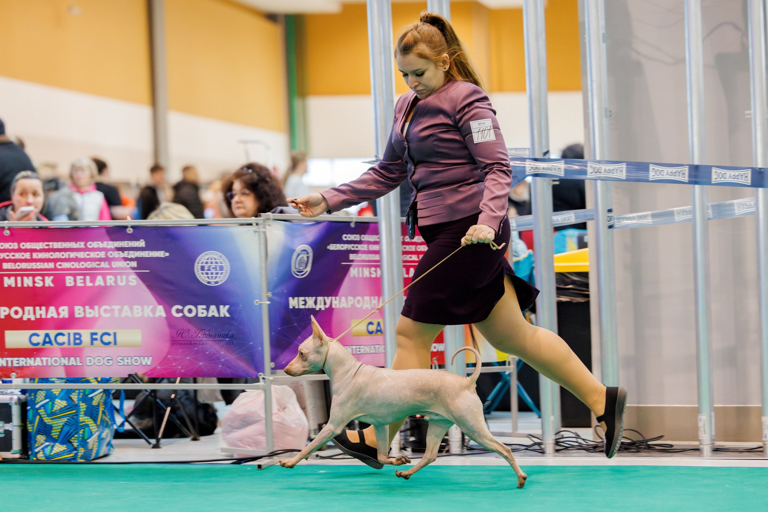 Минск 23.11.2024. Фотограф-анималист Юлия Германика