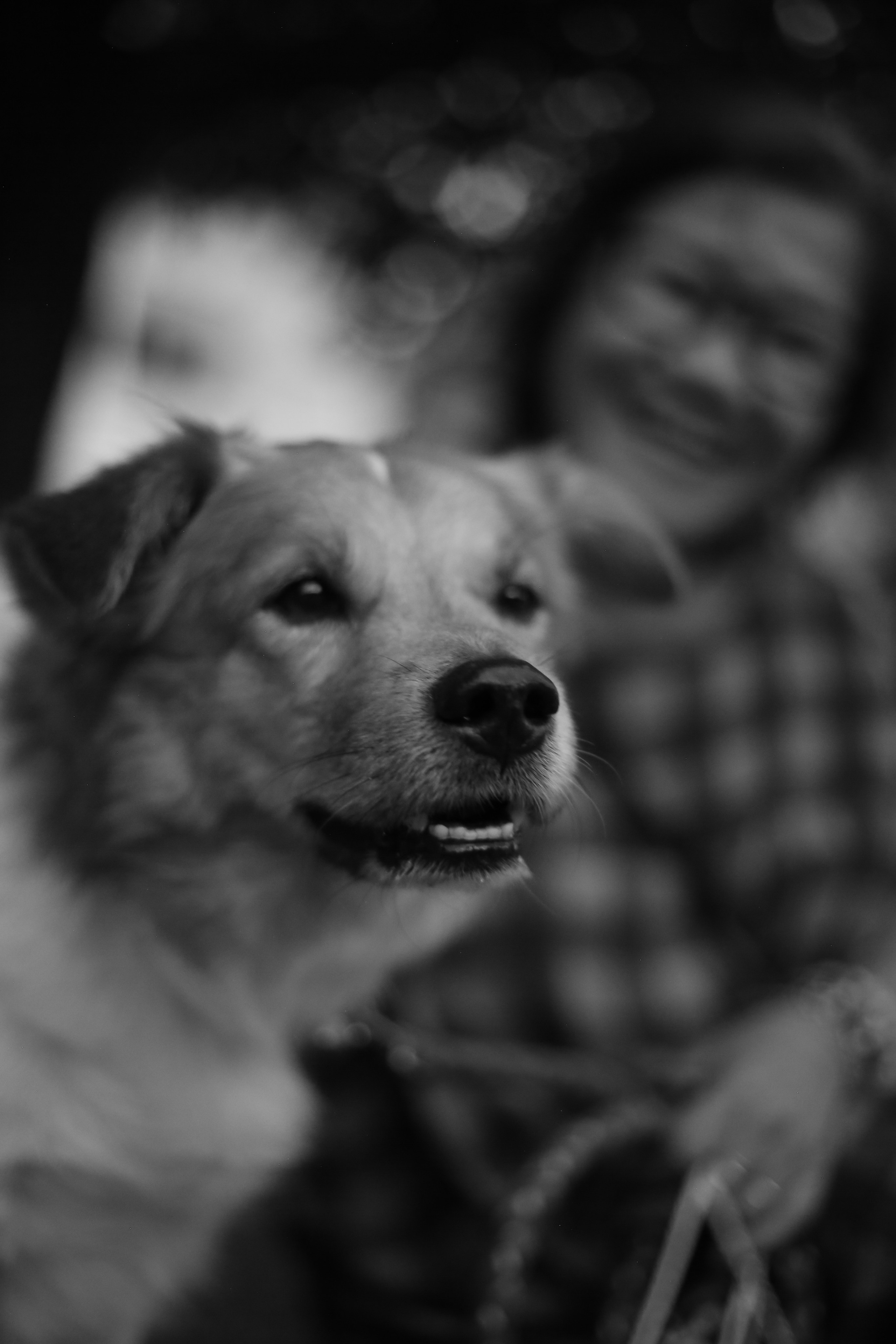 Ho Chi Minh, Vietnam | Part 2| 2025. Art Photographer