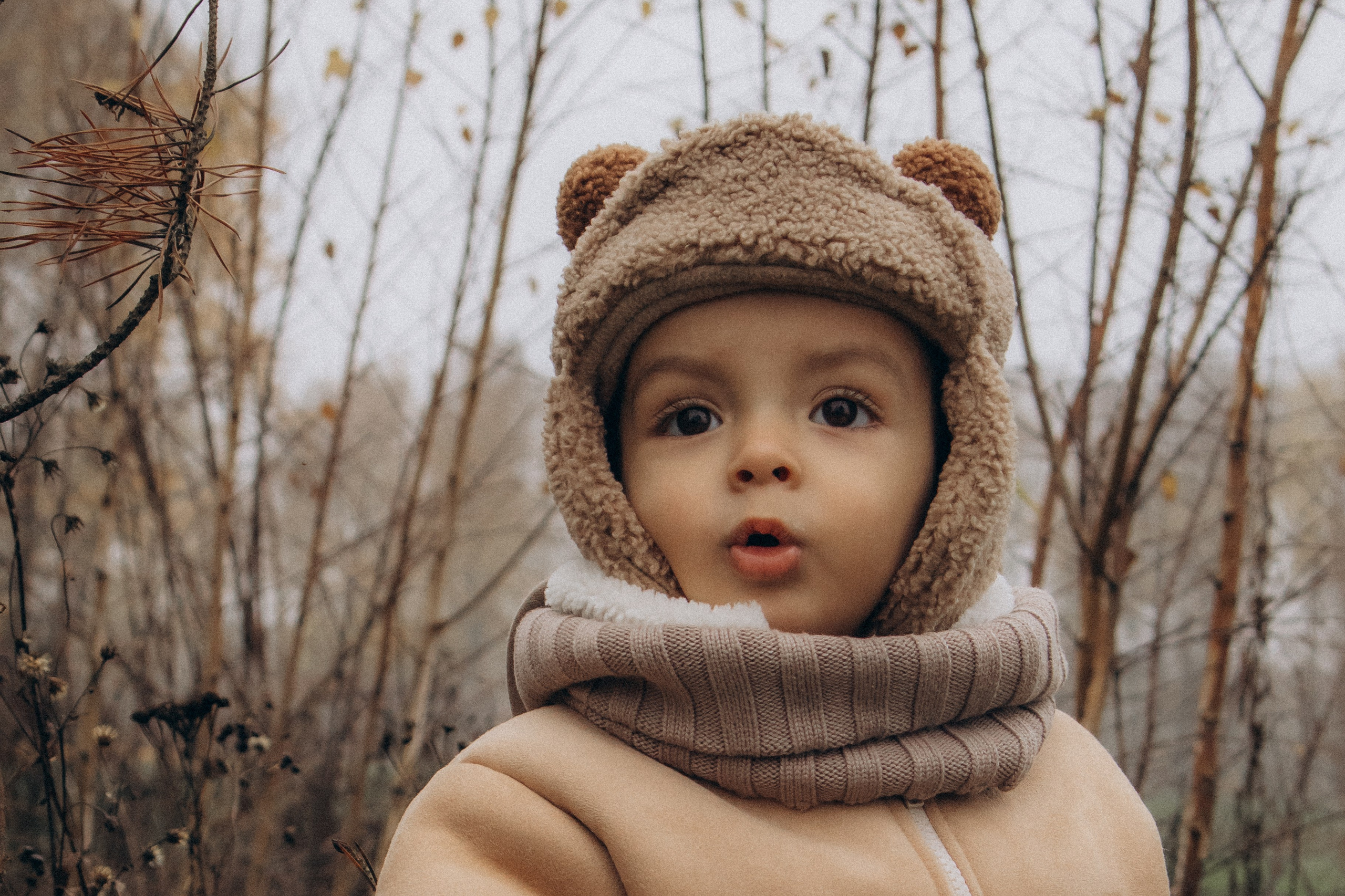 Осенью в лесу. Семейная фотосессия в лесу. Юлия Левада Семейный и женский фотограф