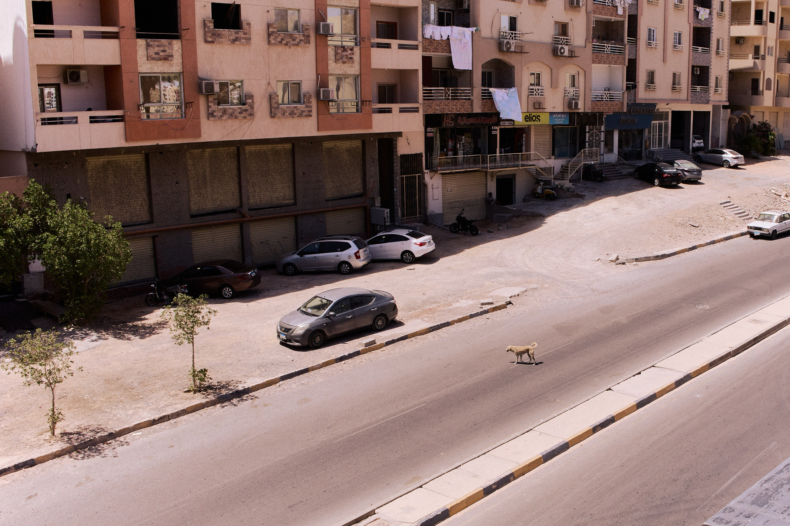 Улица горизонтальная. Jorgis — фотограф в Хургаде / обучение фотографии