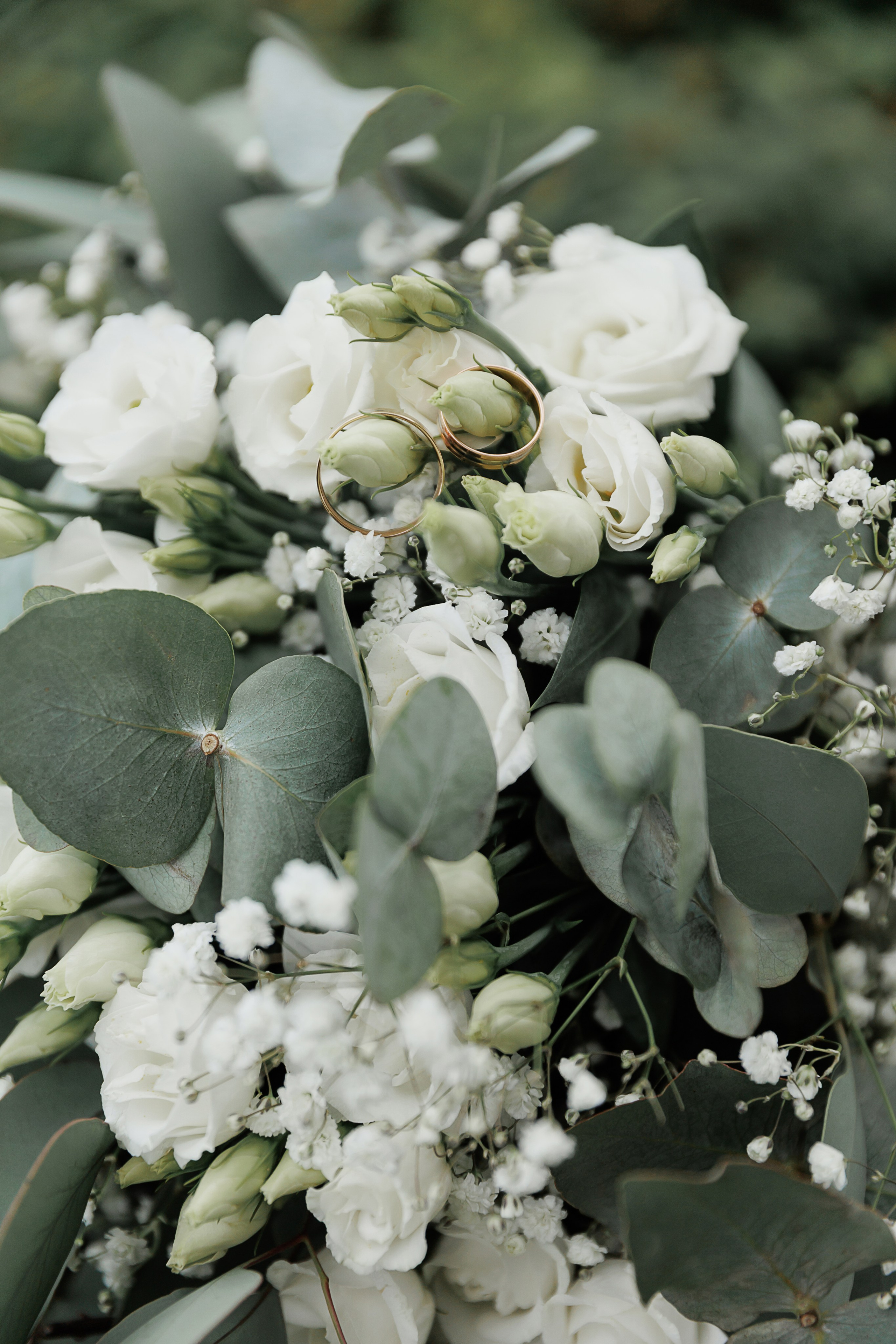 Свадьба Глеба и Дарьи. Свадебный и семейный фотограф в Твери и Тверской области