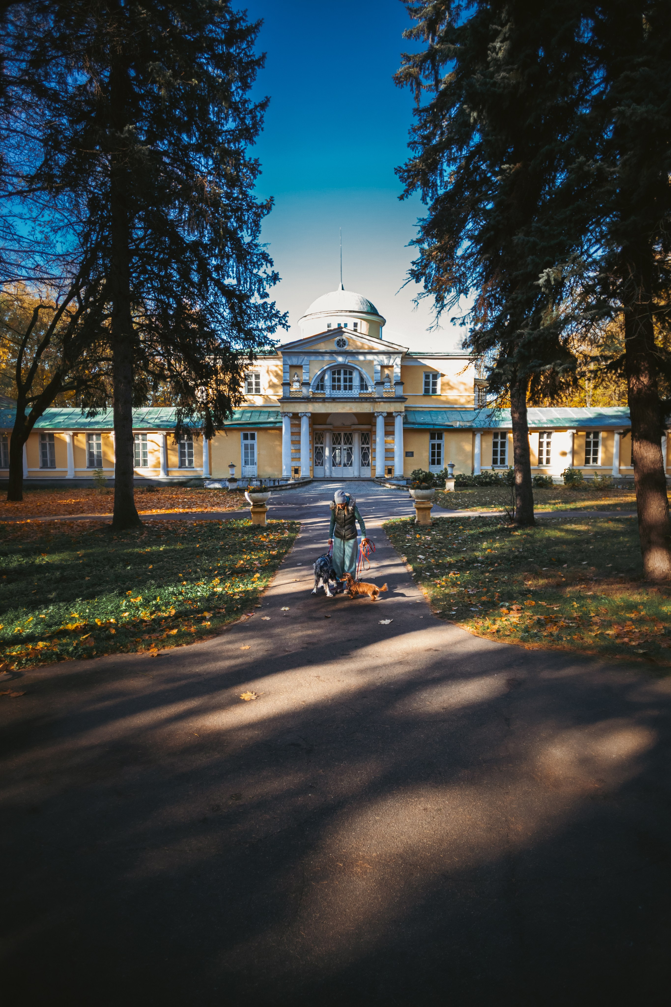 Света, Хайди, Богдана. Фотограф-анималист Татьяна Степанова