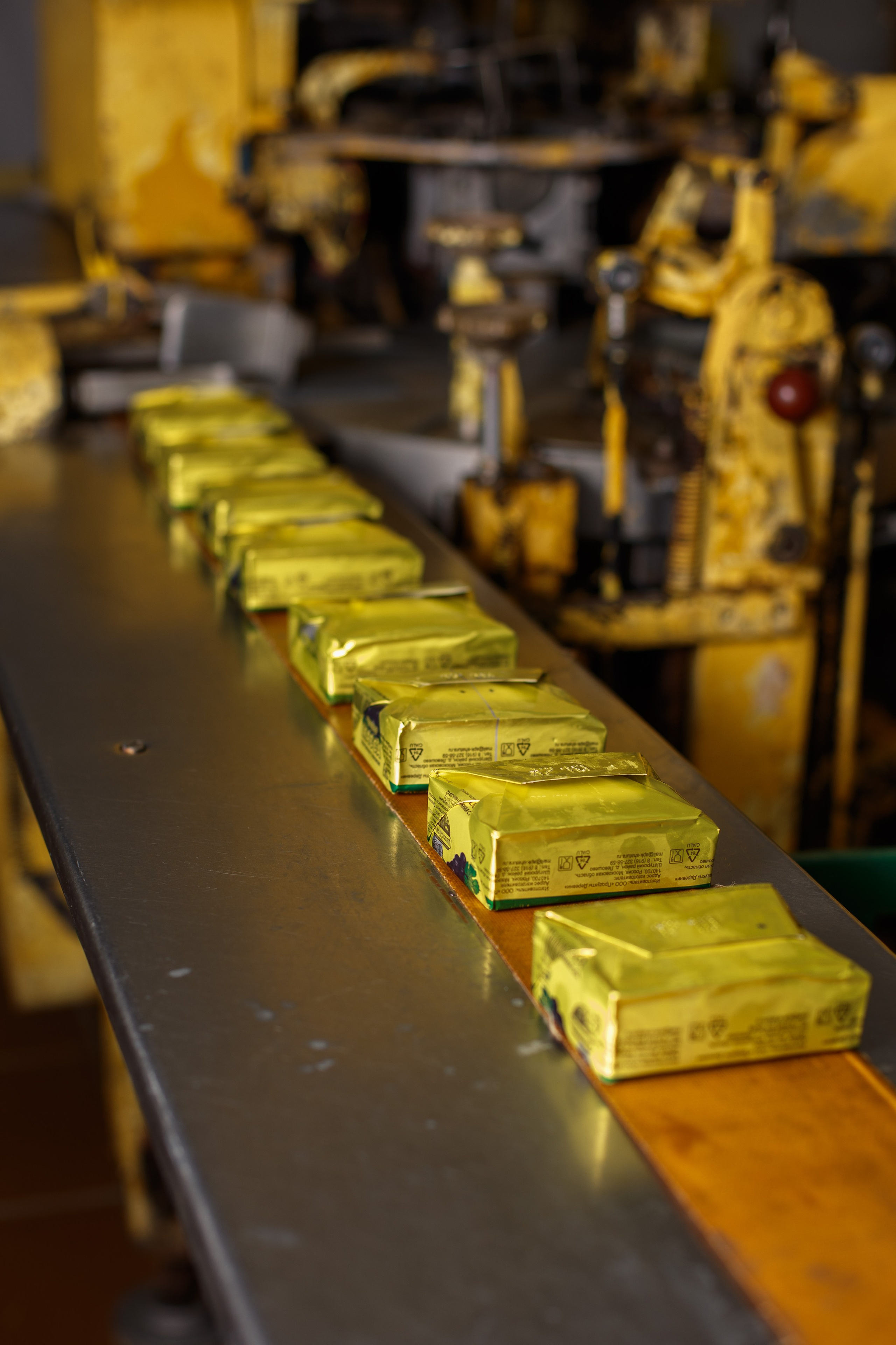 Шатурский Агропромышленный комбинат. Деловая и Бизнес съемка в  Москве Инесса Грушко