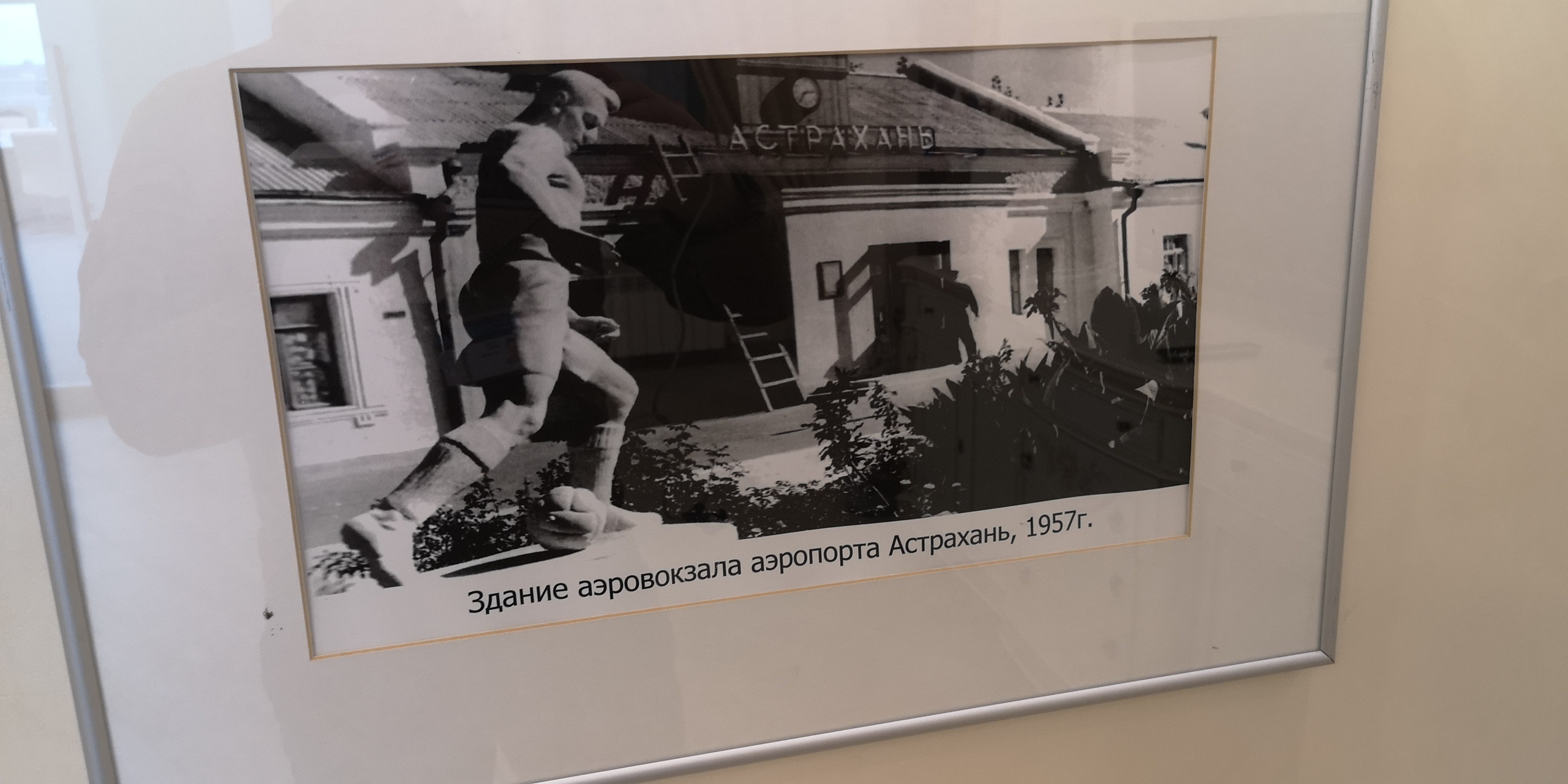 Каспийское море (наука на Ла-8) (2021 г.). Фотоальбом показывающий увлекательный мир авиации и мир медведей Андрея Иванова