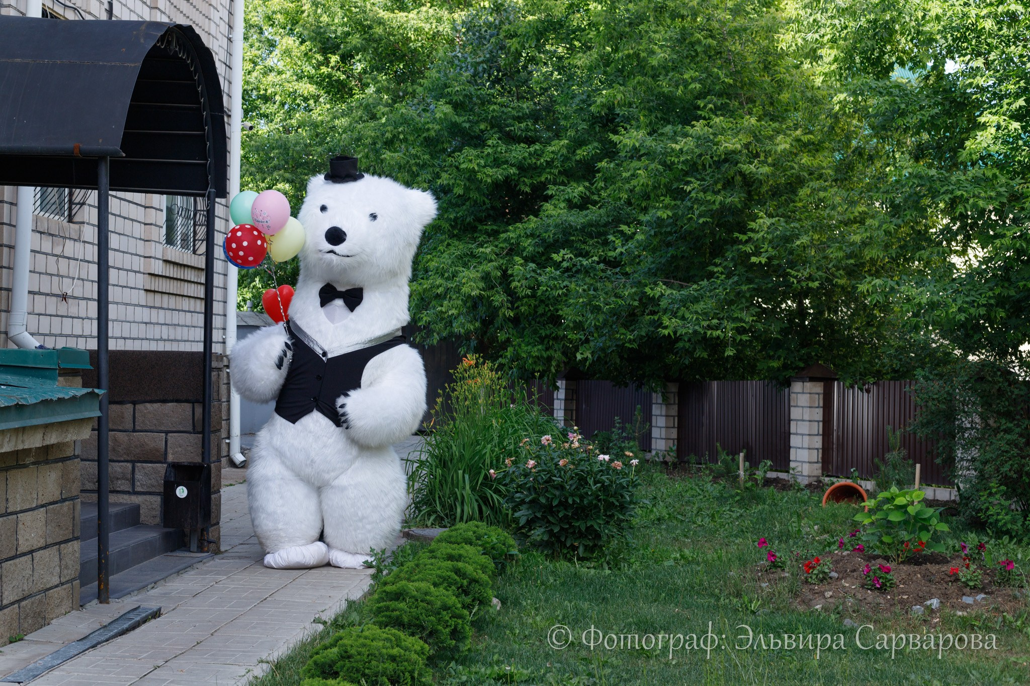 Юбилей. Репортажный Фотограф