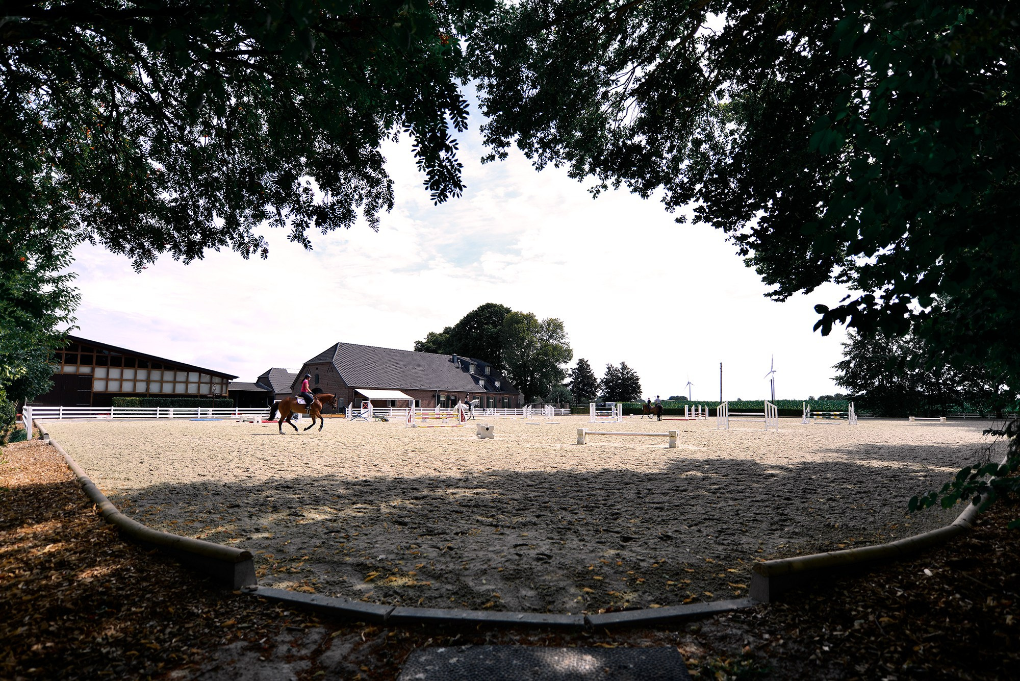 ЕС. Конный фотограф Alesya Safe