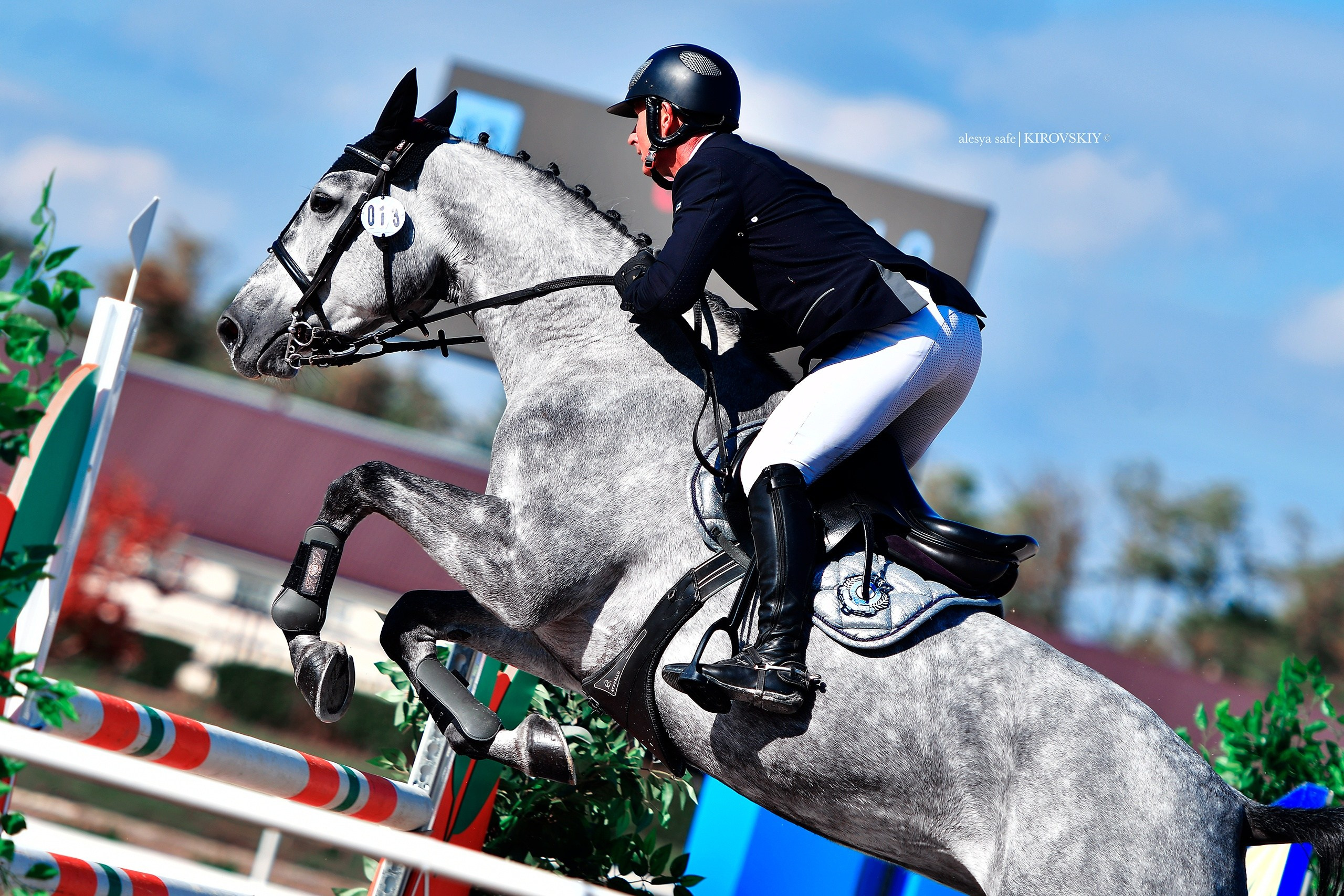 Кировский конный завод. Конный фотограф Alesya Safe