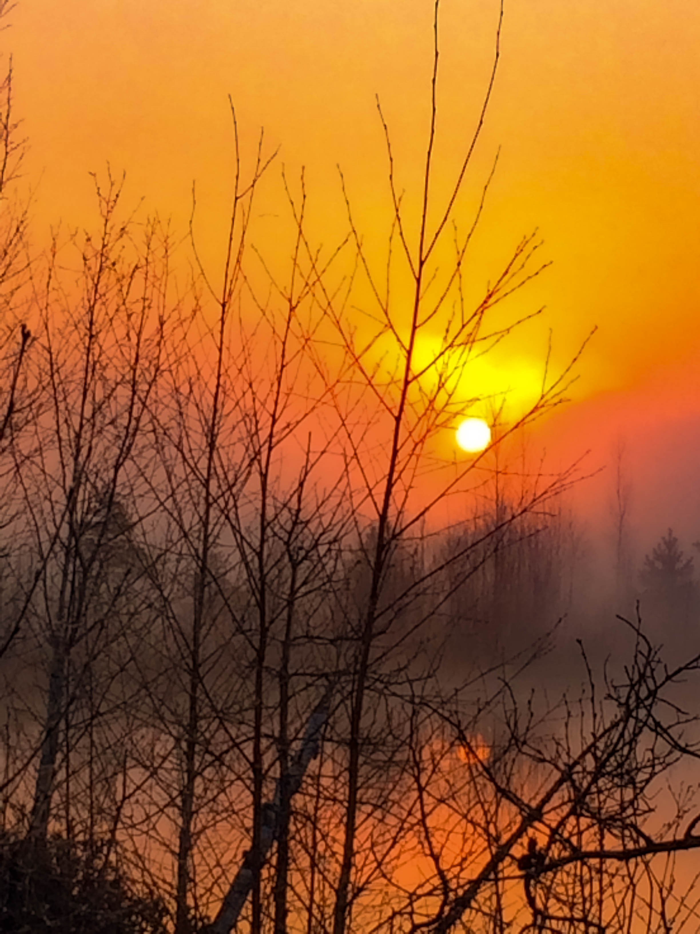 ПЛАНЕТА ЗЕМЛЯ (пейзаж). АЛЕКСЕЙ КОЛМАКОВ. Фотограф. Москва и Московская область