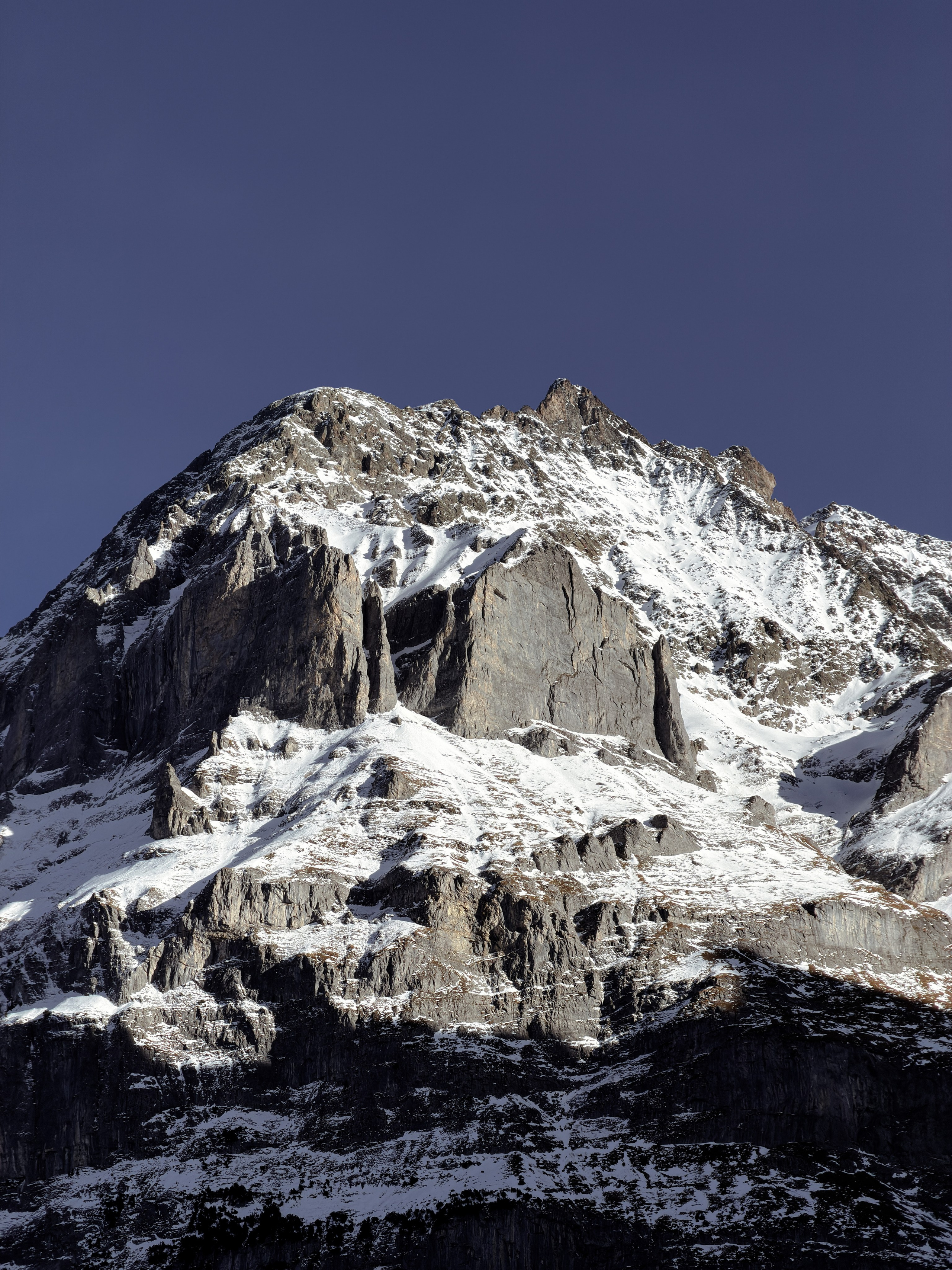Grindelwald. Фотограф в Москве