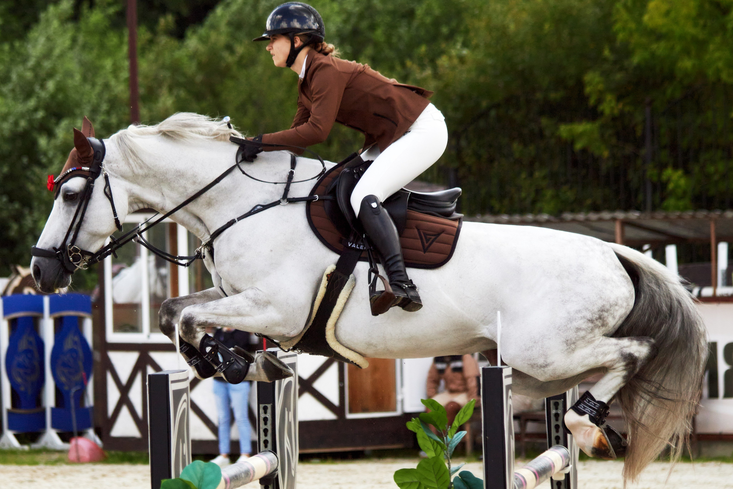 Конкур в «Виват, Россия». Фотограф анималист — Тула, Москва