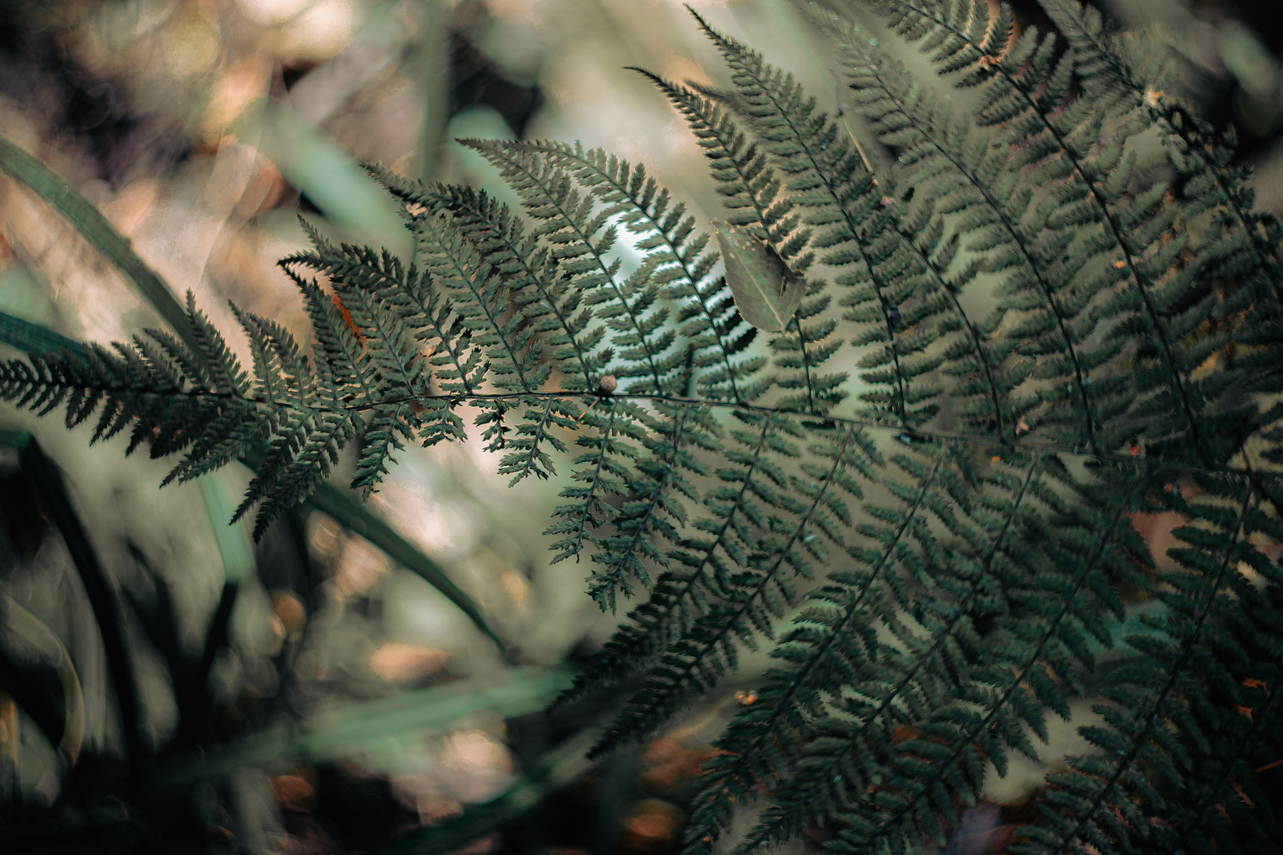 Сентябрь 2024. Efremovaphoto.ru