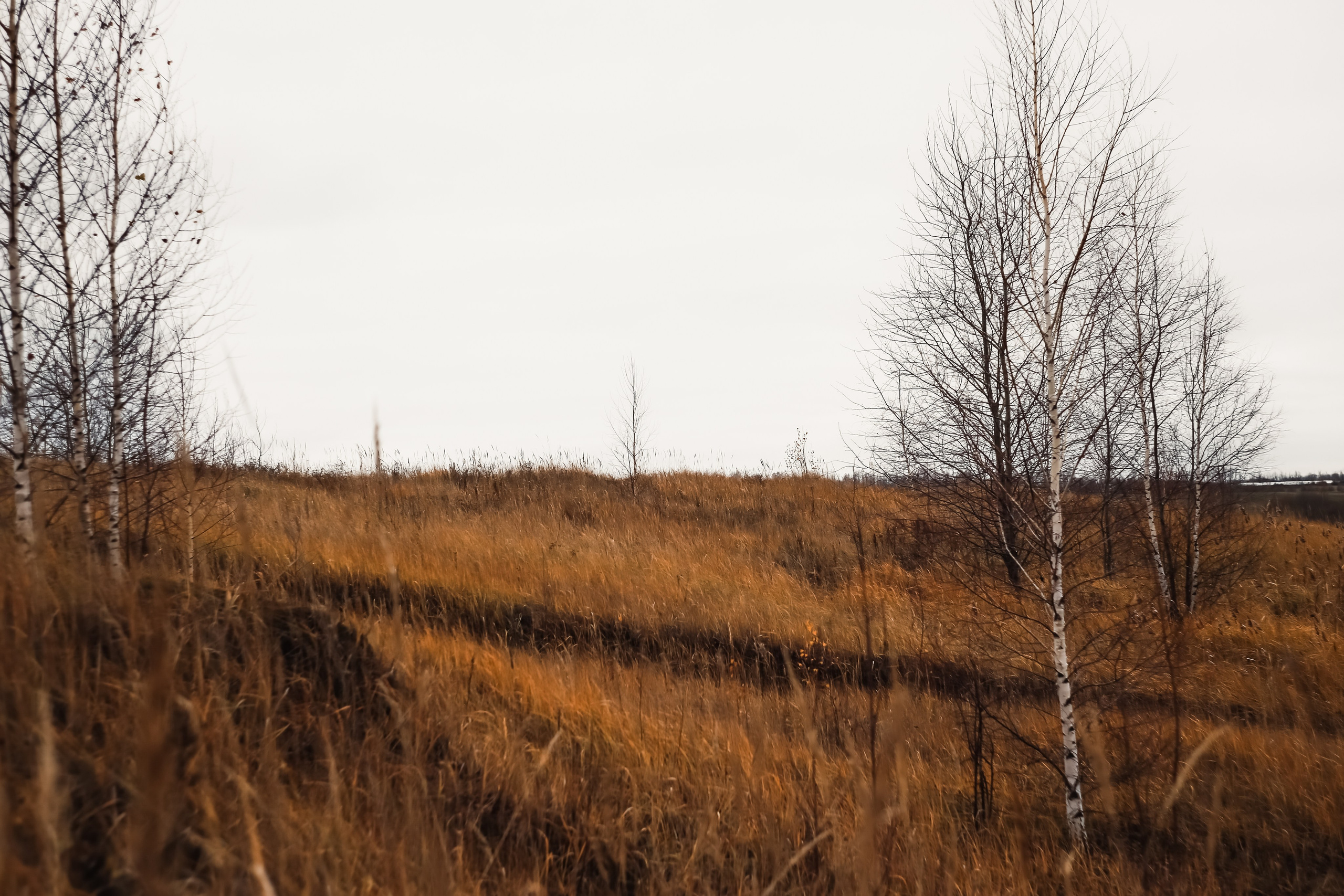 Ноябрь 2022. Efremovaphoto.ru