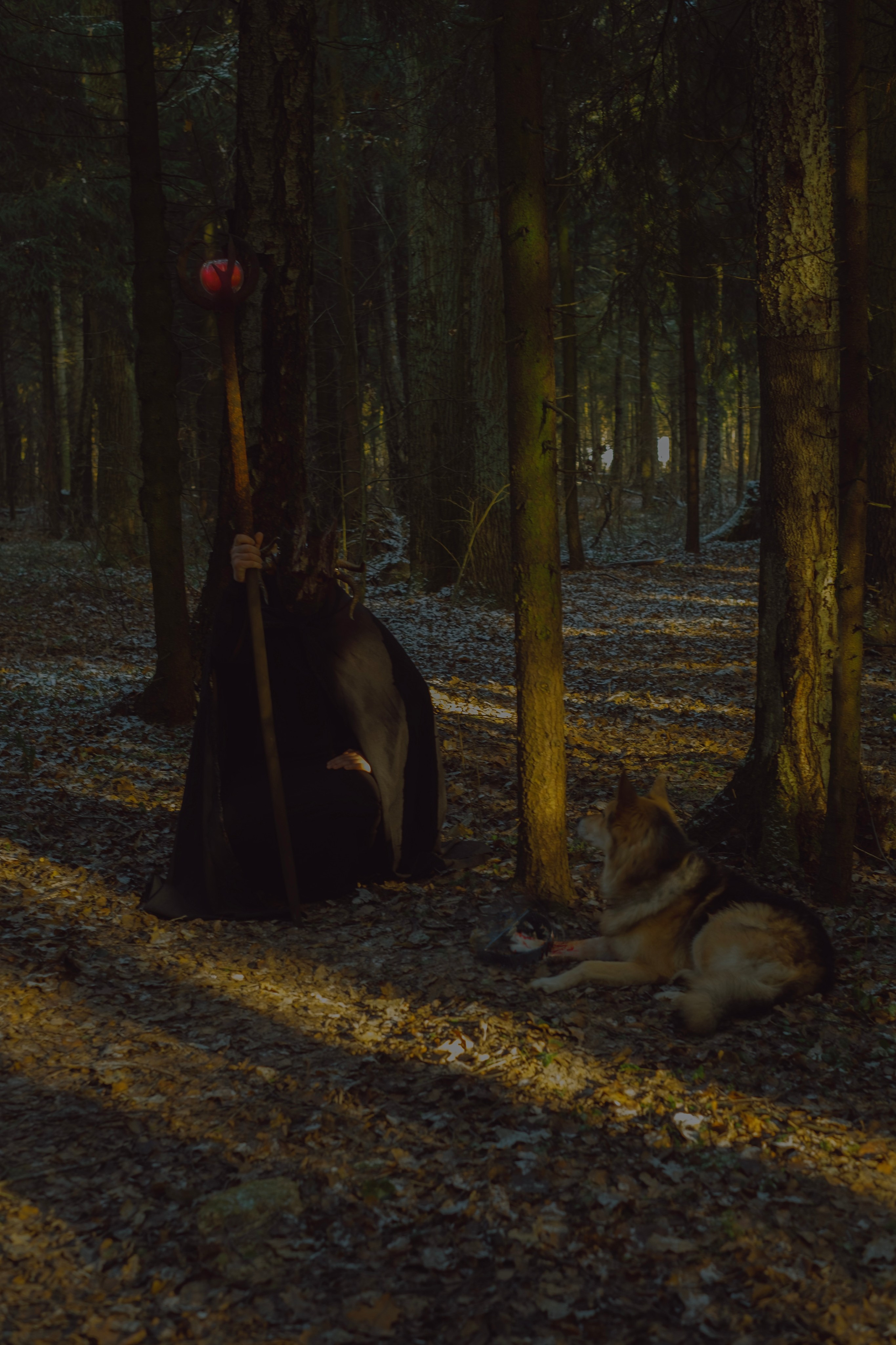 «Дух леса». Фотограф (Москва, Мытищи)— Комова Анастасия