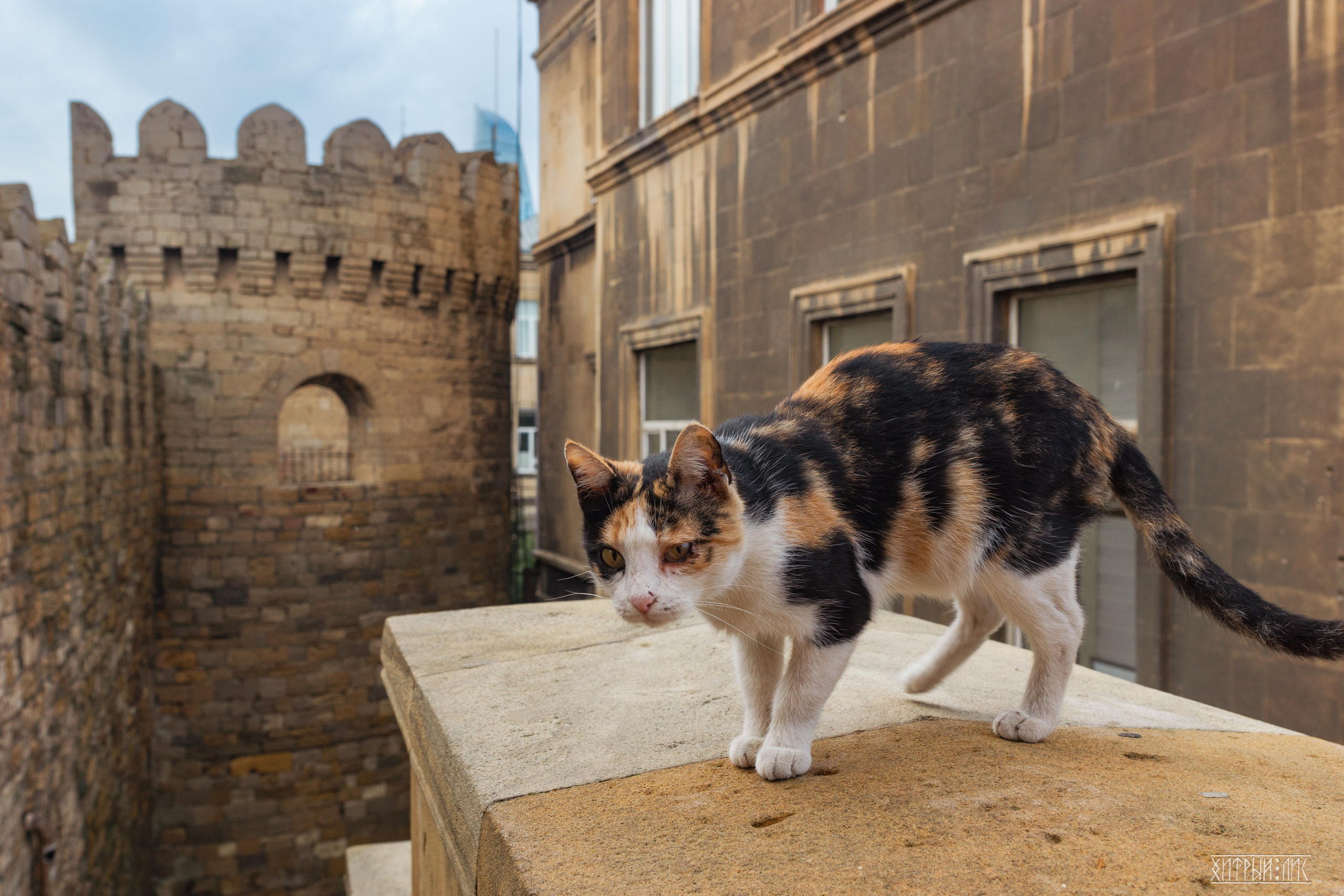 Баку. Фотограф-путешественник Самойлов Максим «Sly Fox»