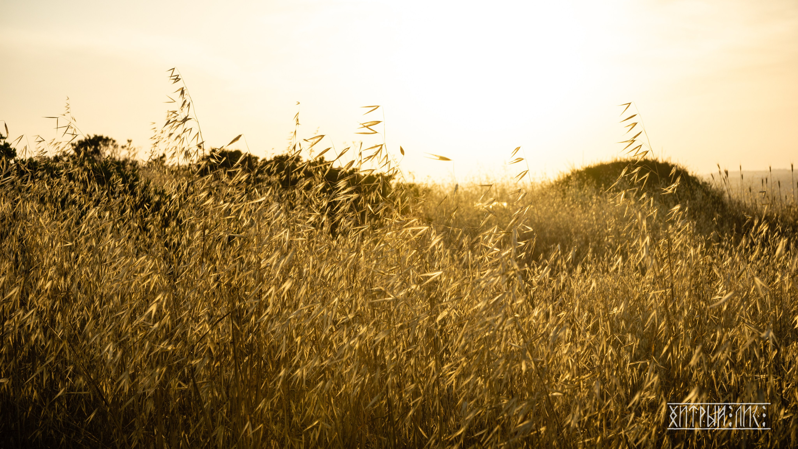 Кипр. Фотограф-путешественник Самойлов Максим «Sly Fox»