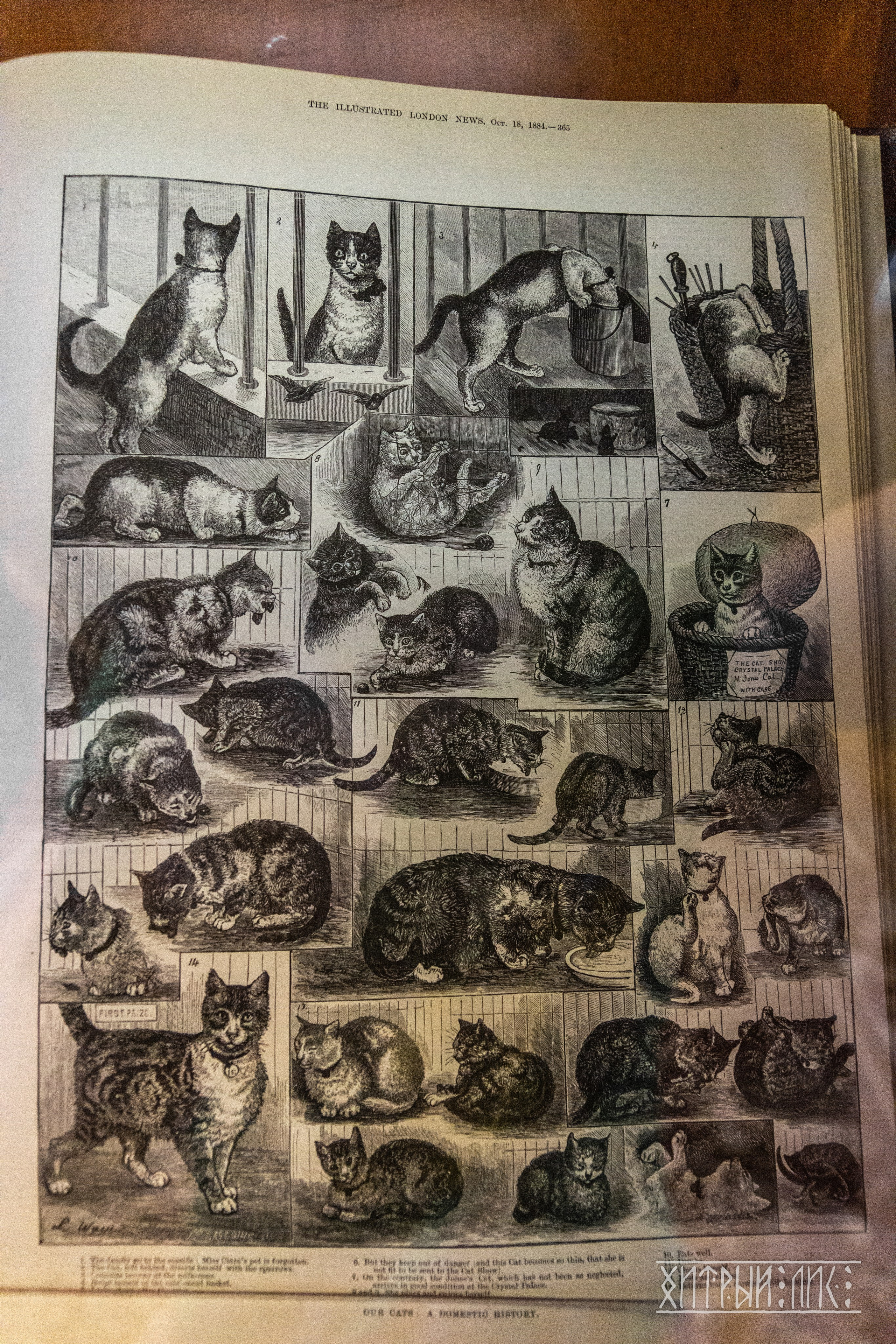 Беларусь. Фотограф-путешественник Самойлов Максим «Sly Fox»