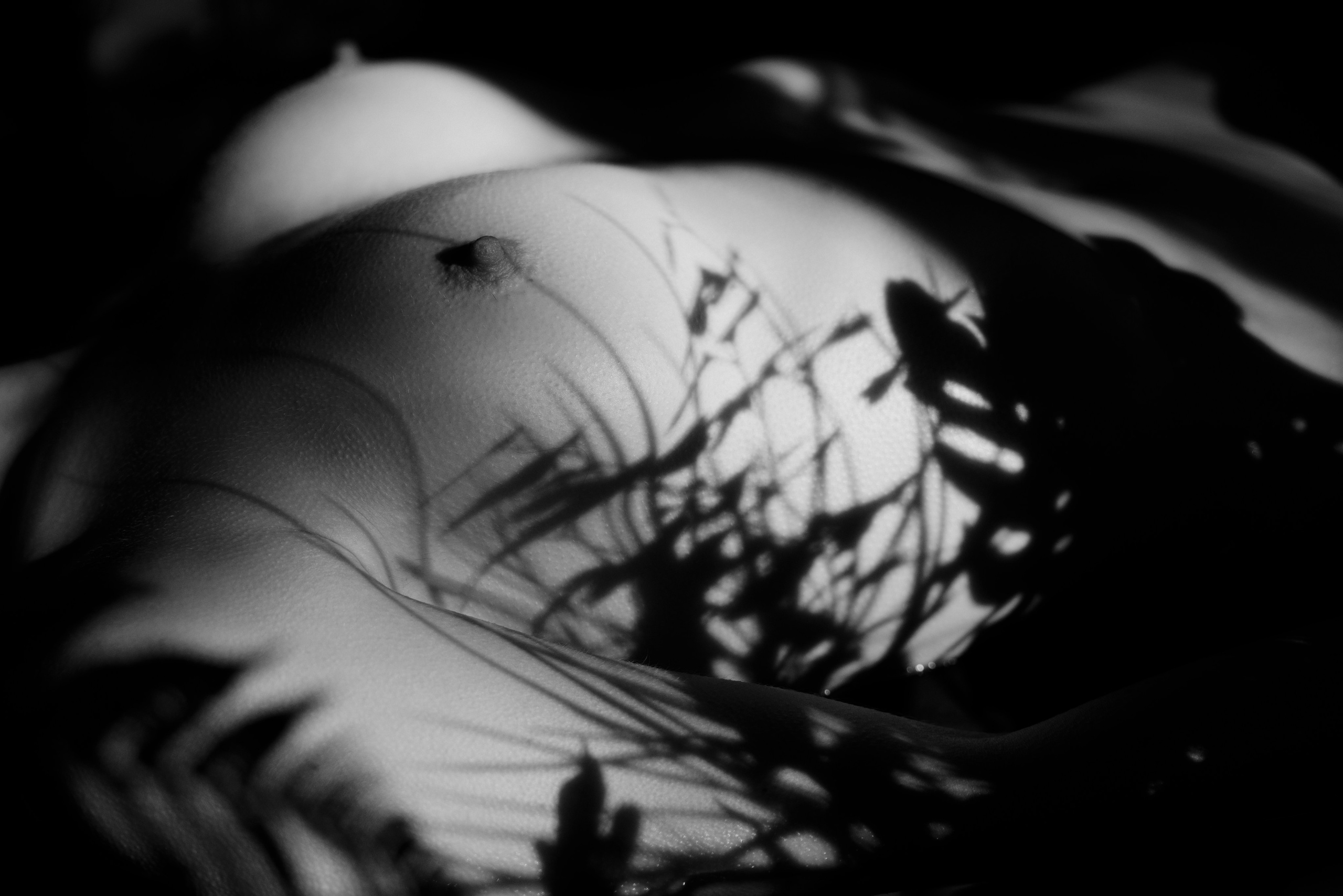 Ню. Профессиональный портретный фотограф в Москве Юрий Бессуднов