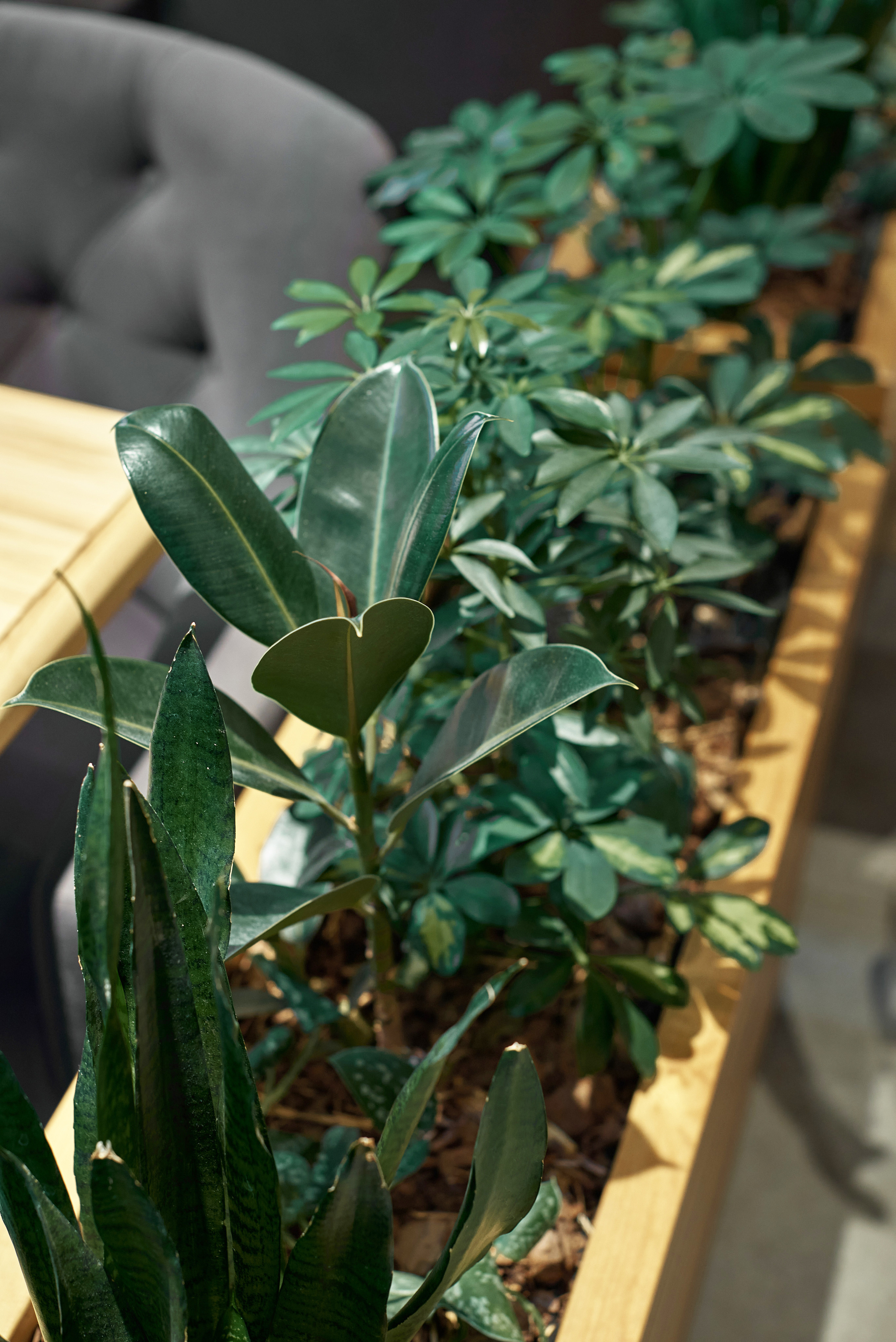 БРИТАНСКИЕ ПЕКАРНИ. Интерьерный и архитектурный фотограф в Сочи МАКСИМ КСЕНЗОВ