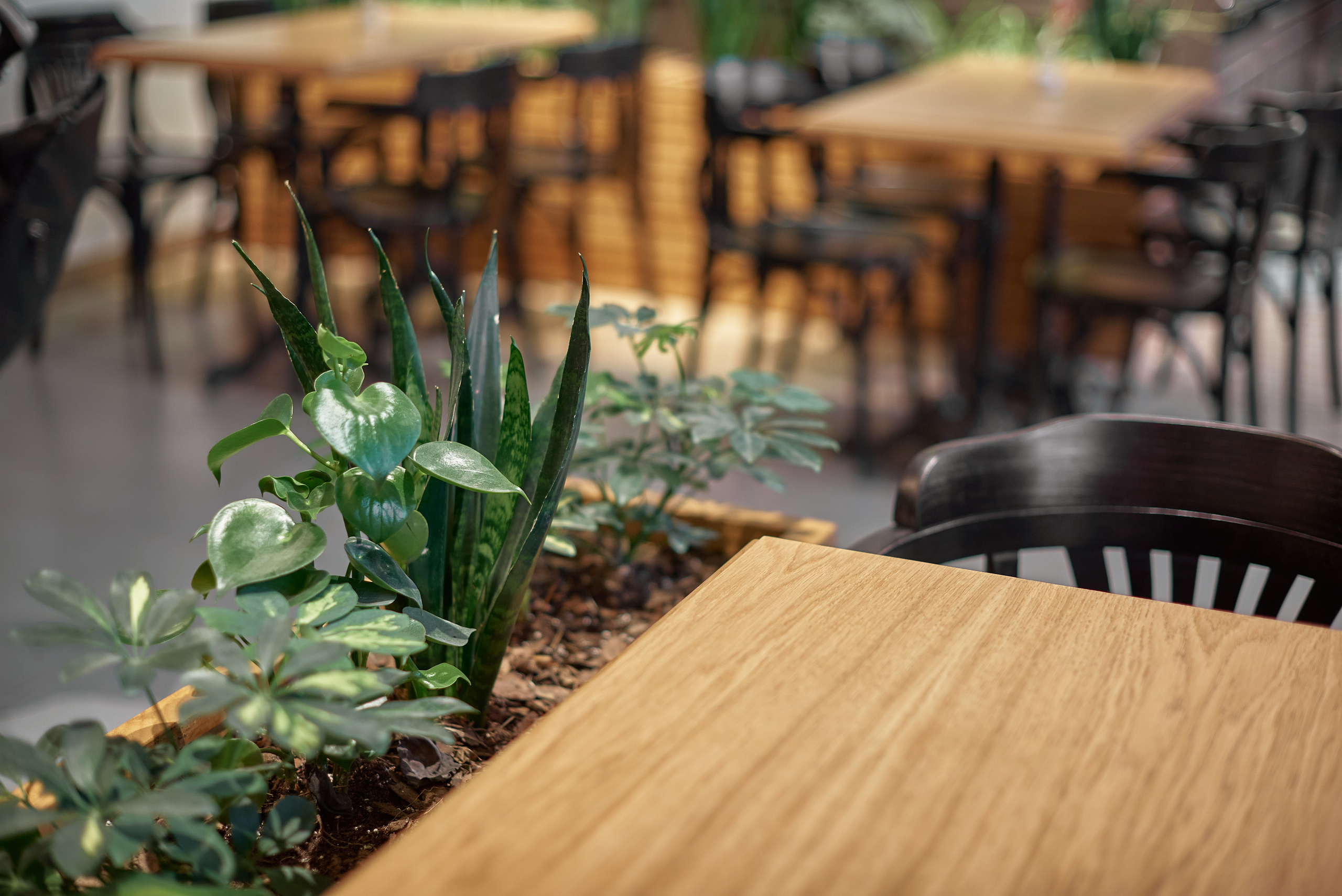 БРИТАНСКИЕ ПЕКАРНИ. Интерьерный и архитектурный фотограф в Сочи МАКСИМ КСЕНЗОВ