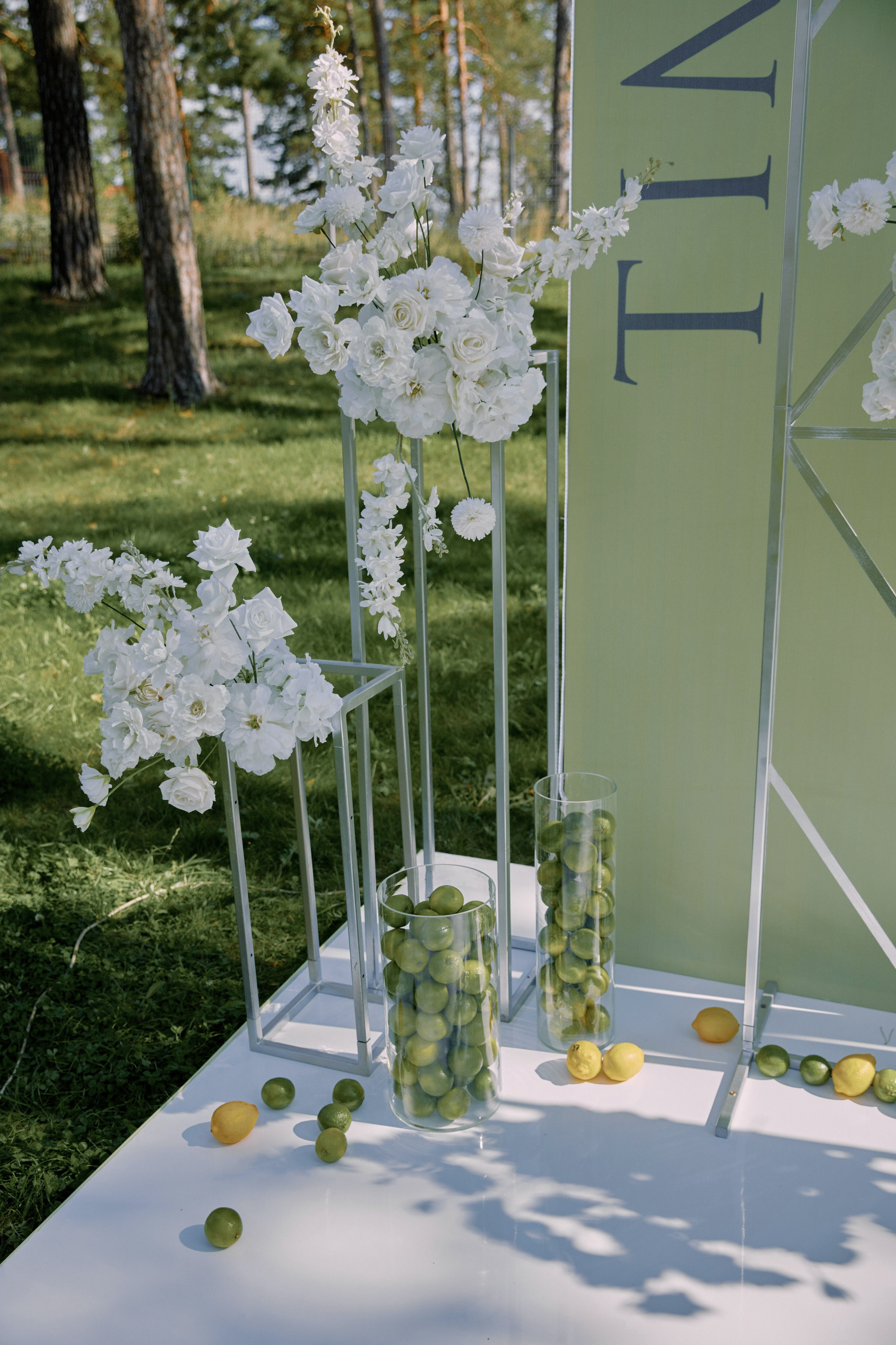 Лаймовое настроение. Фотограф Елена Краснопевцева